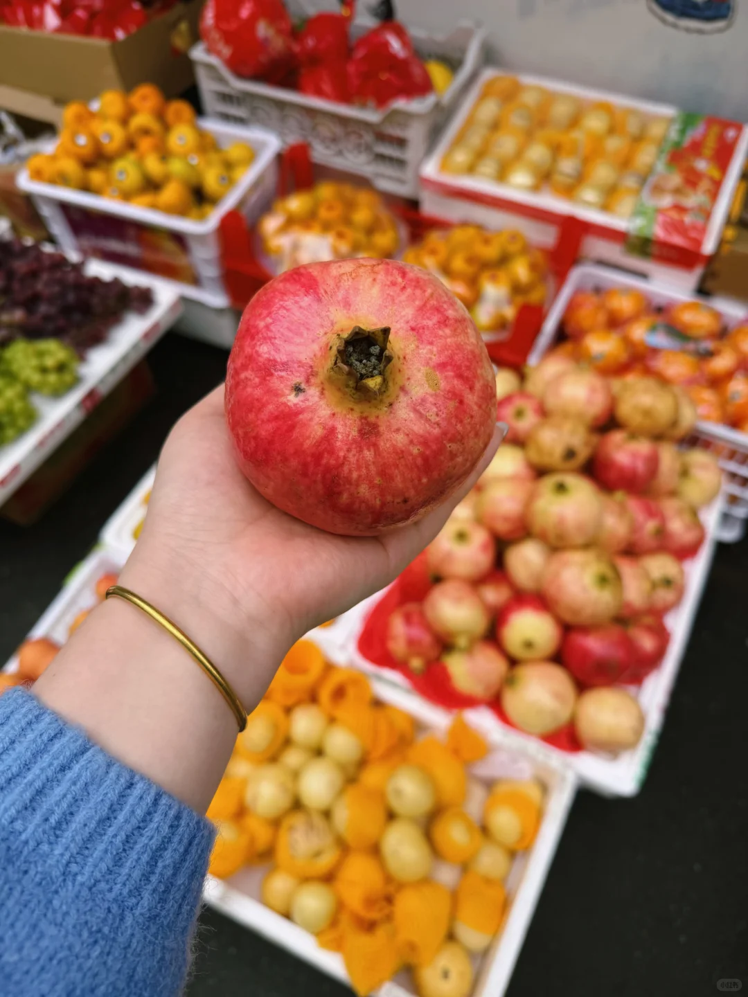 秋天果实累累的生命力！