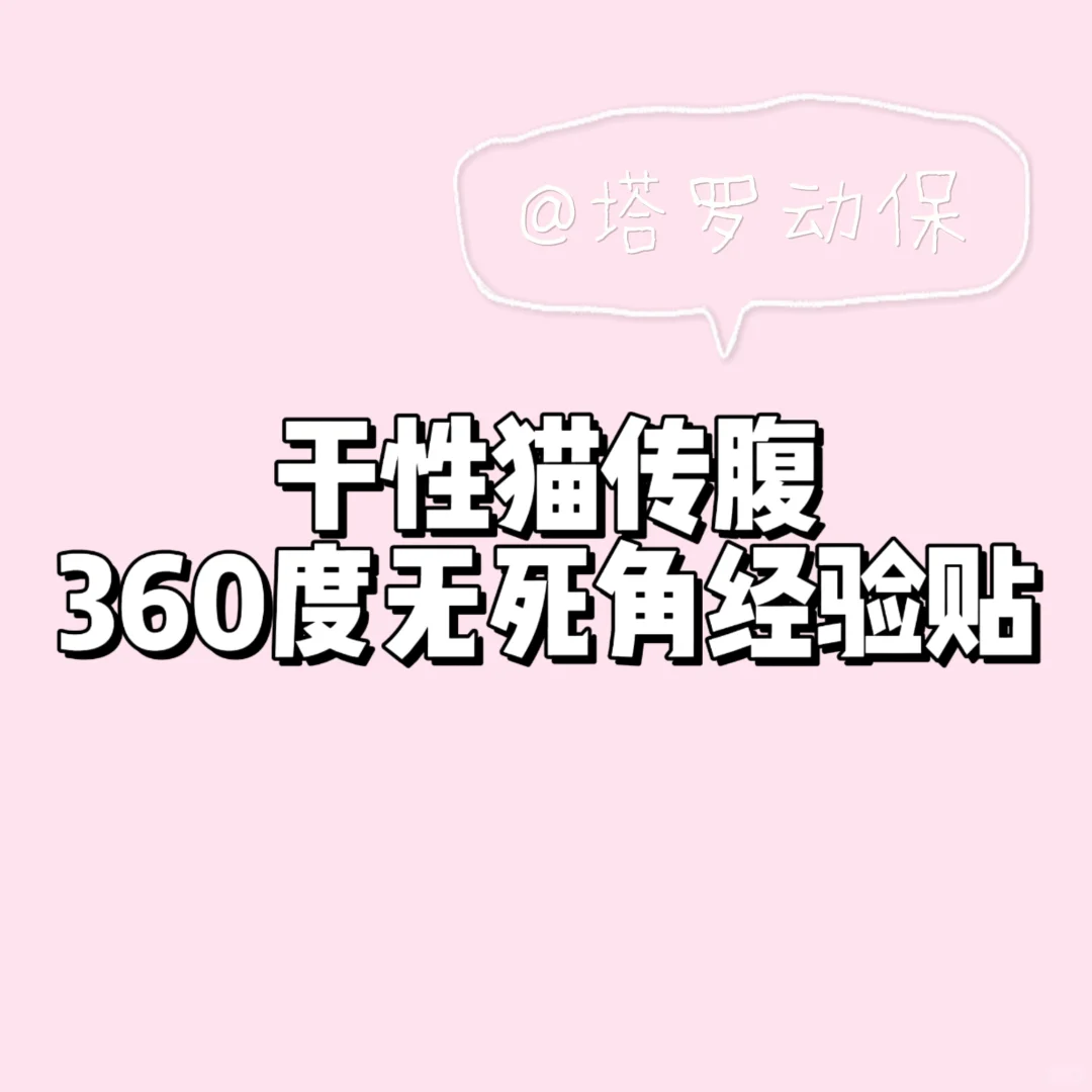 干性猫传腹经验贴「360度无死角」