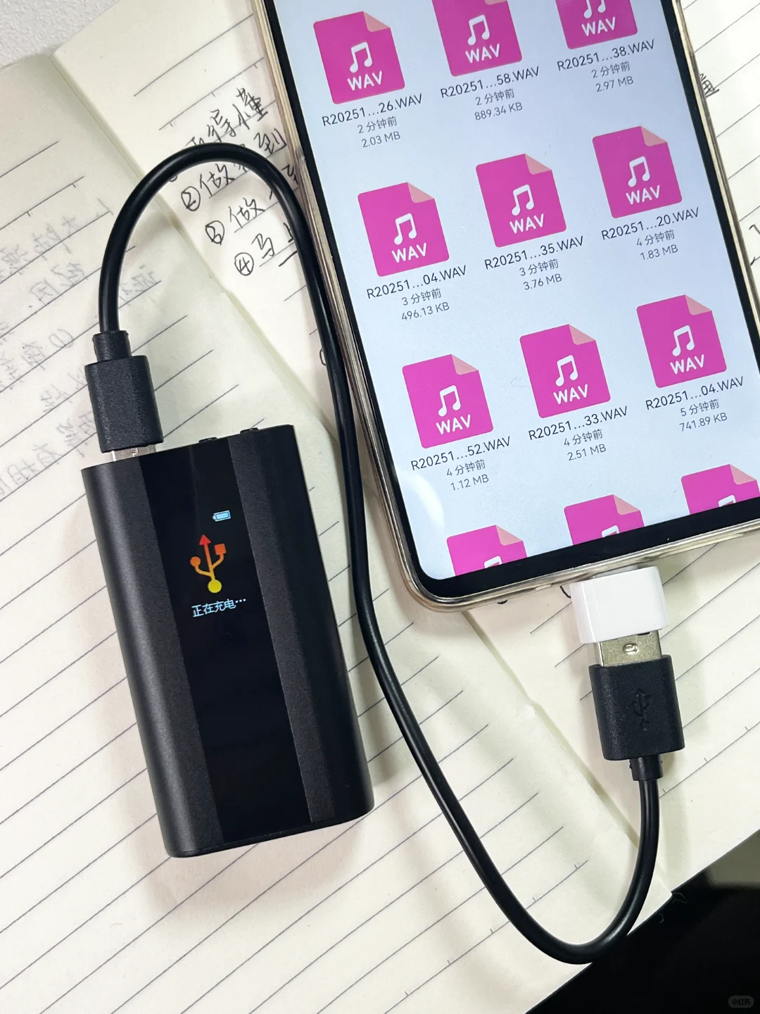 不知道录音笔多节省时间的，肯定不是老牛马