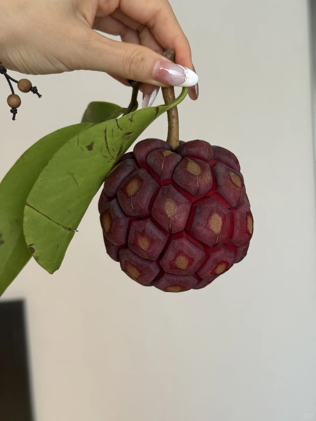 昆明早市太好逛了