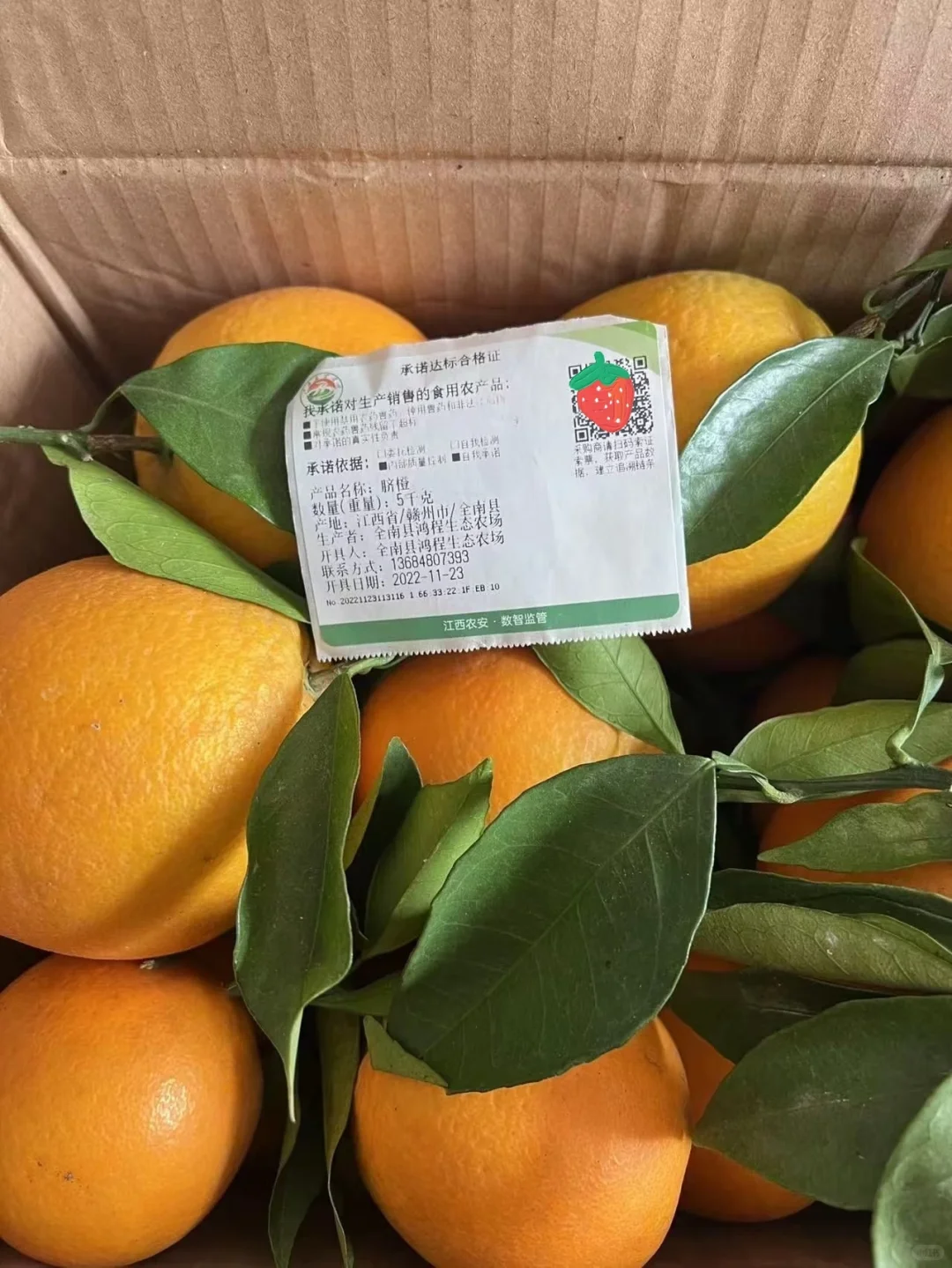 橙：我是土生土长的赣州橙