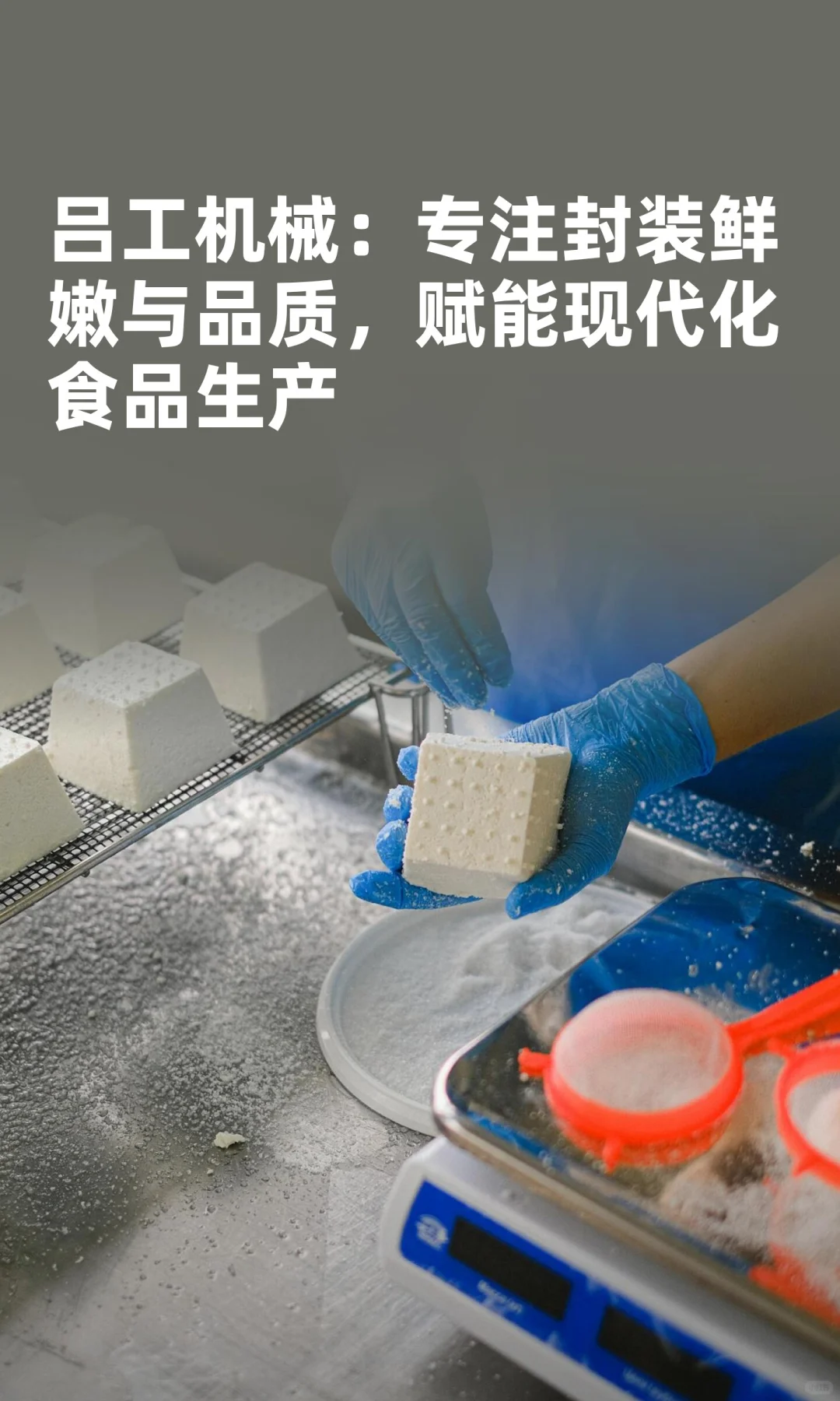 专注封装鲜嫩与品质，赋能现代化食品生产