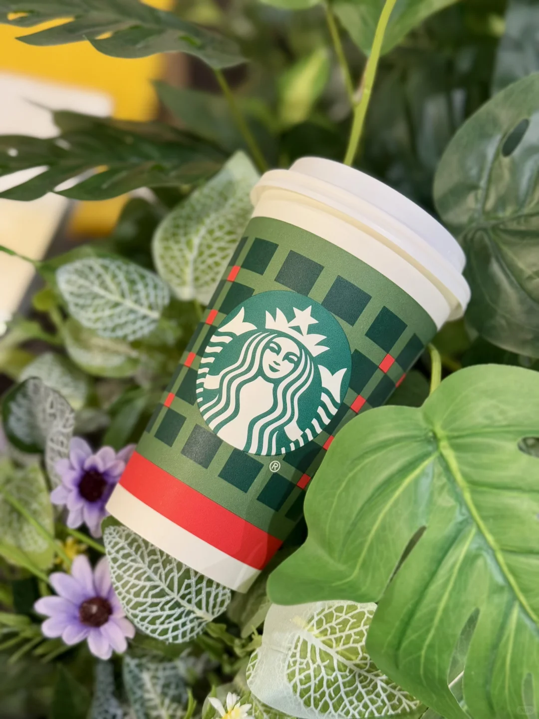 星巴克离开这一杯我靠什么过冬啊！！