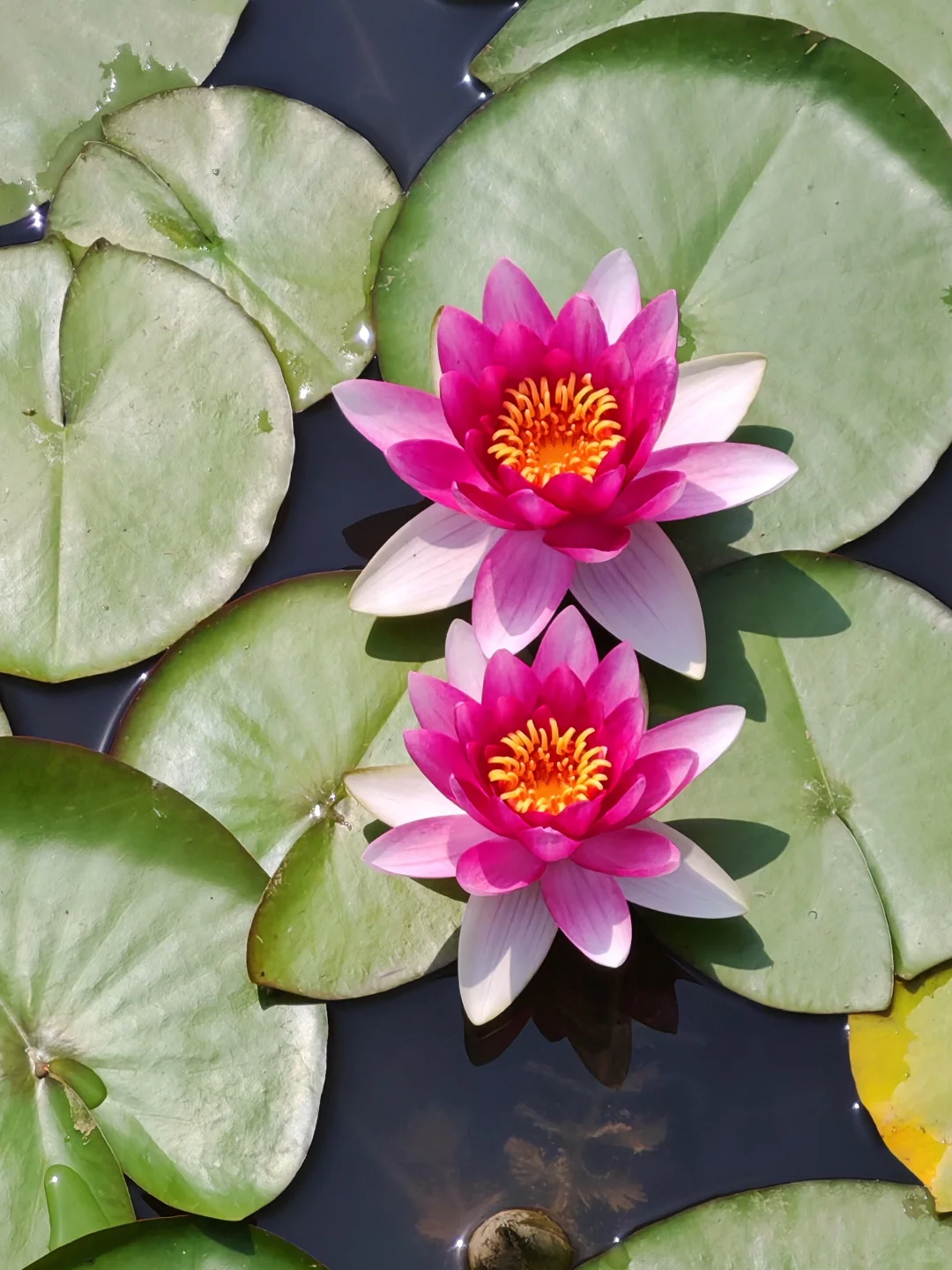 建在海边的研发中心，是浪费还是浪漫？