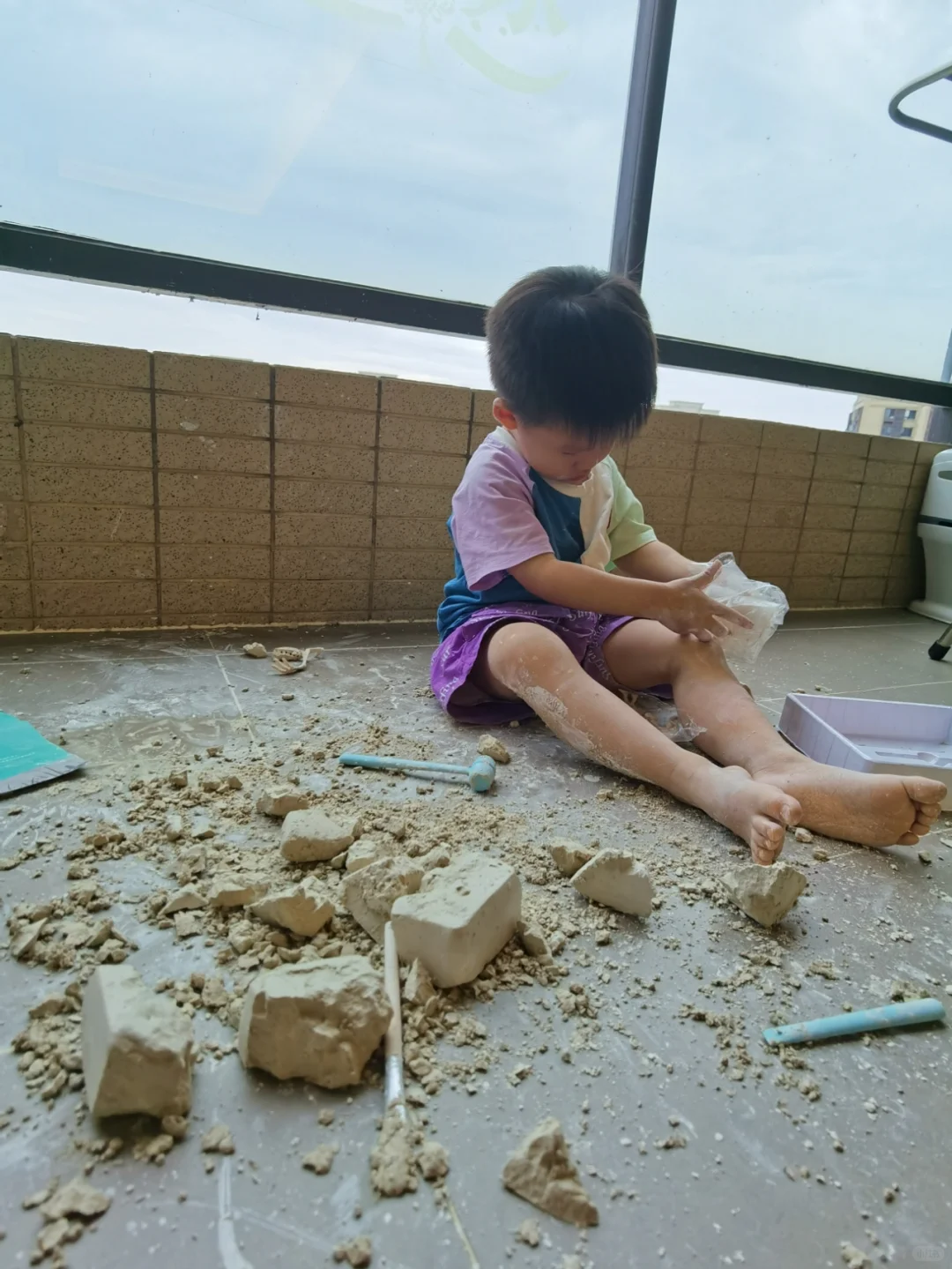 网红恐龙考古玩具买不买？请看这里！