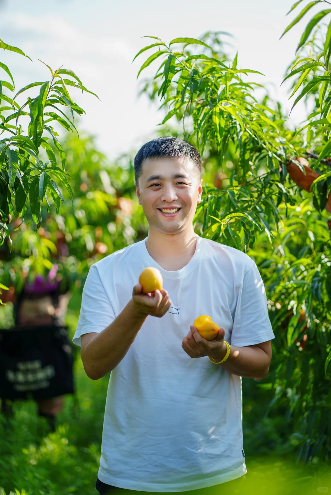 我是老王，7年职业水果人，有些感概…