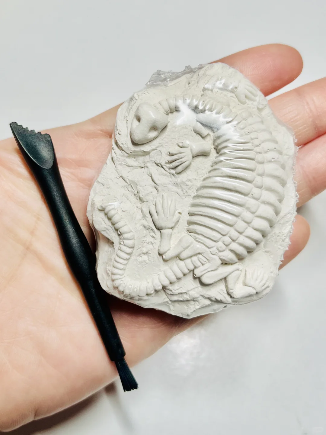 【免费】Bureau en Gros的挖恐龙化石活动