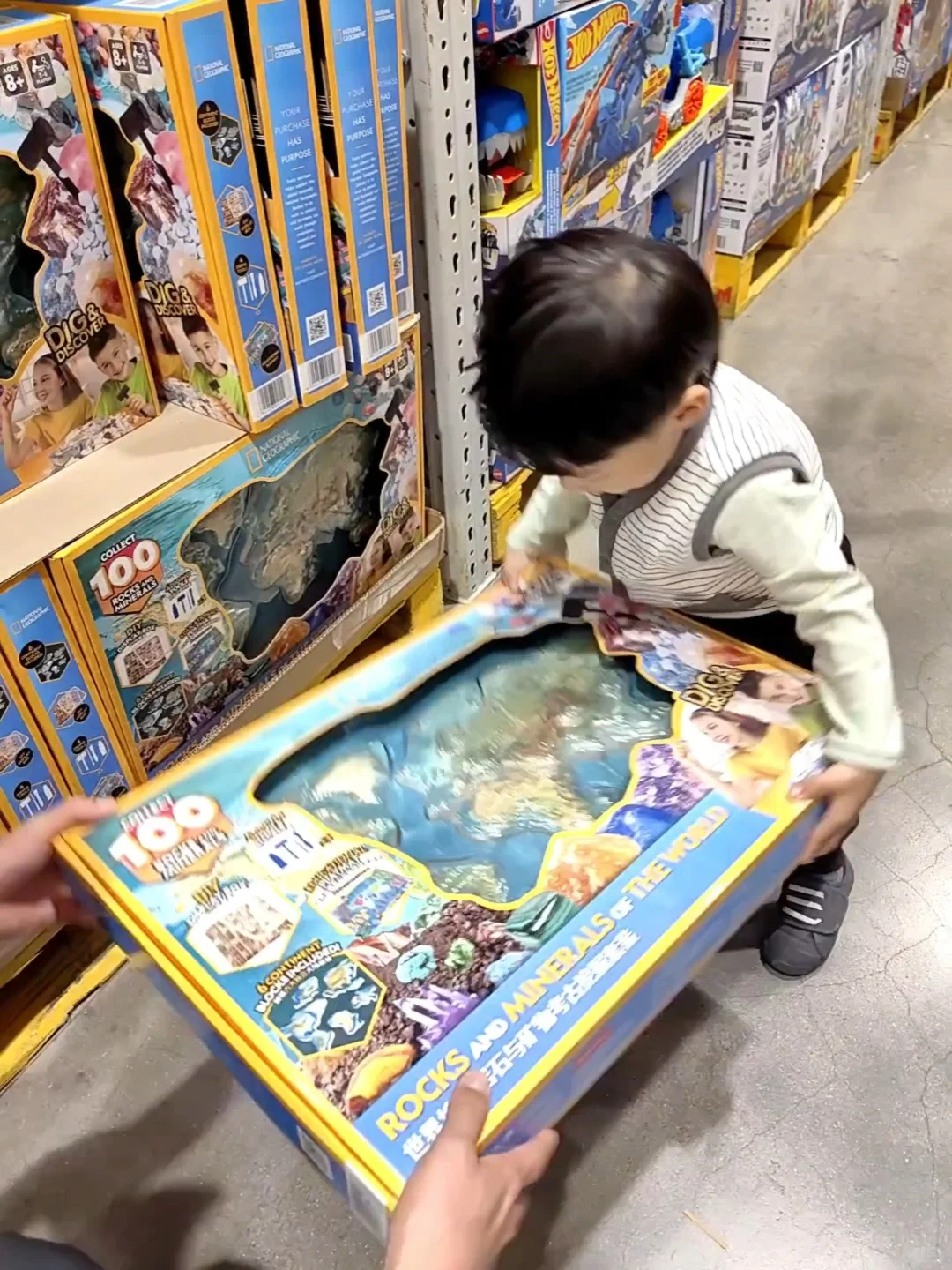 world天！一下拥有了‘全世界’的石头