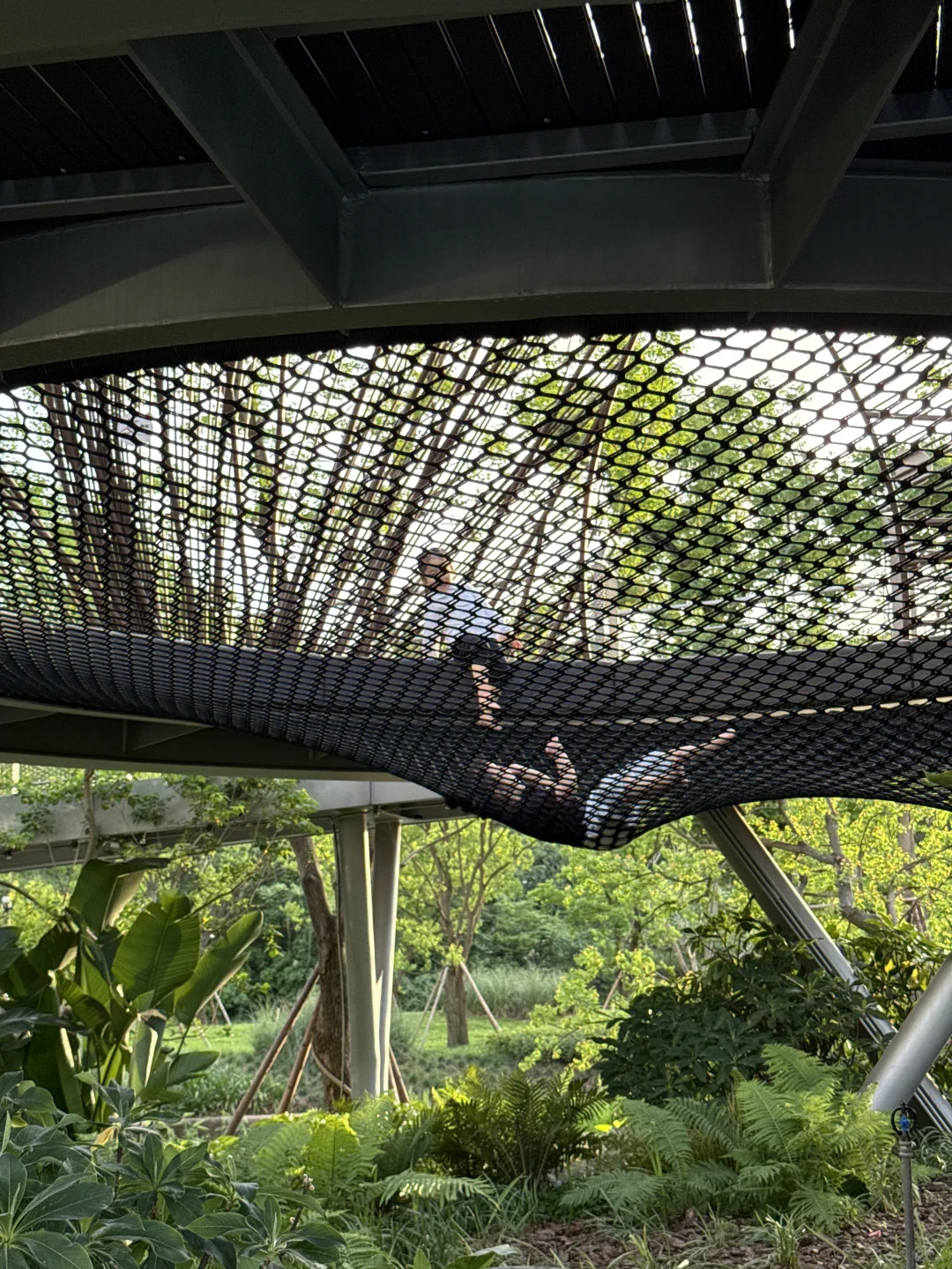 跟着成本逛麓湖-No.1 麓野公园景观桥