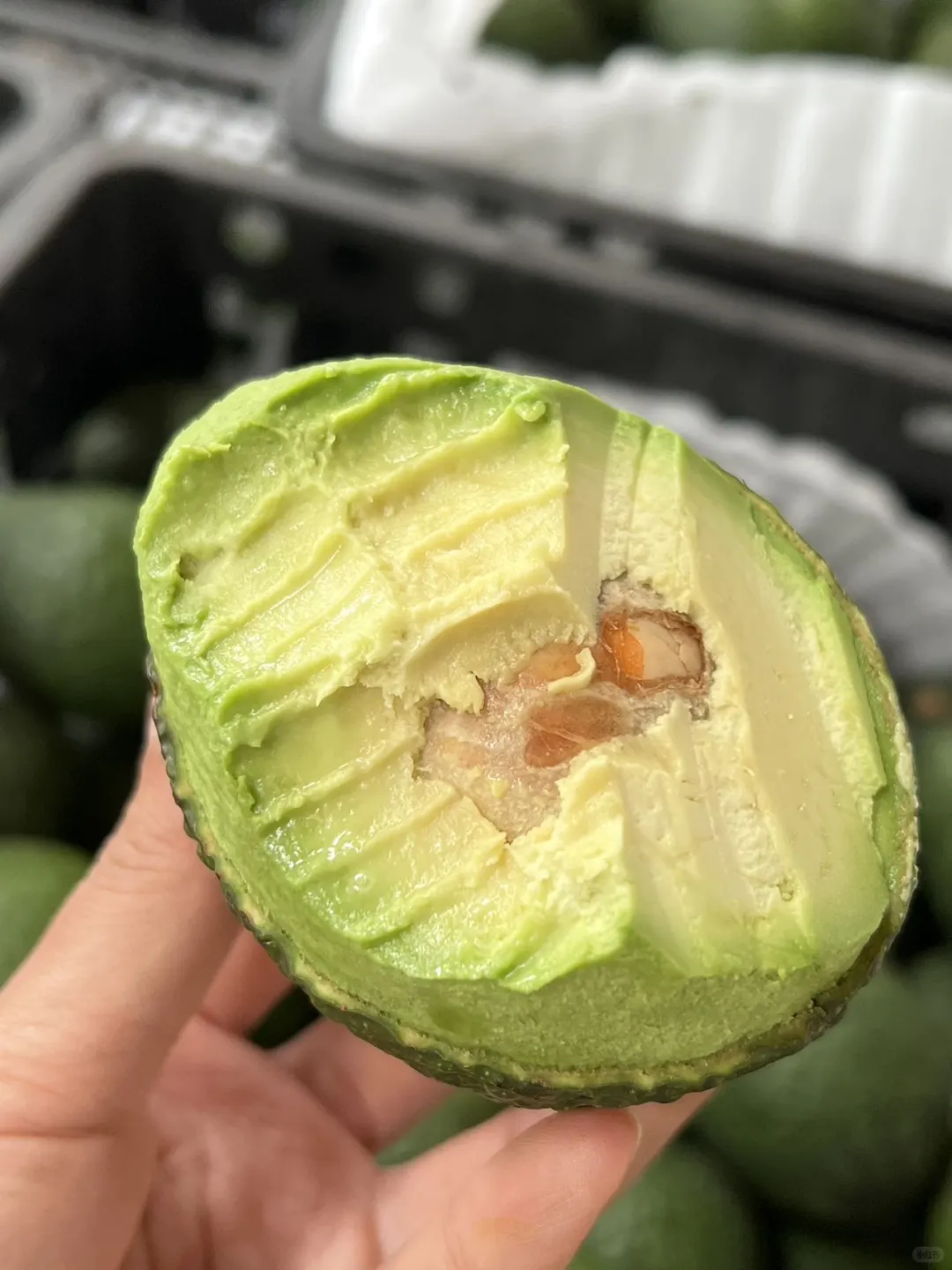 国产牛油果成熟啦！唯一缺点：季节限定！