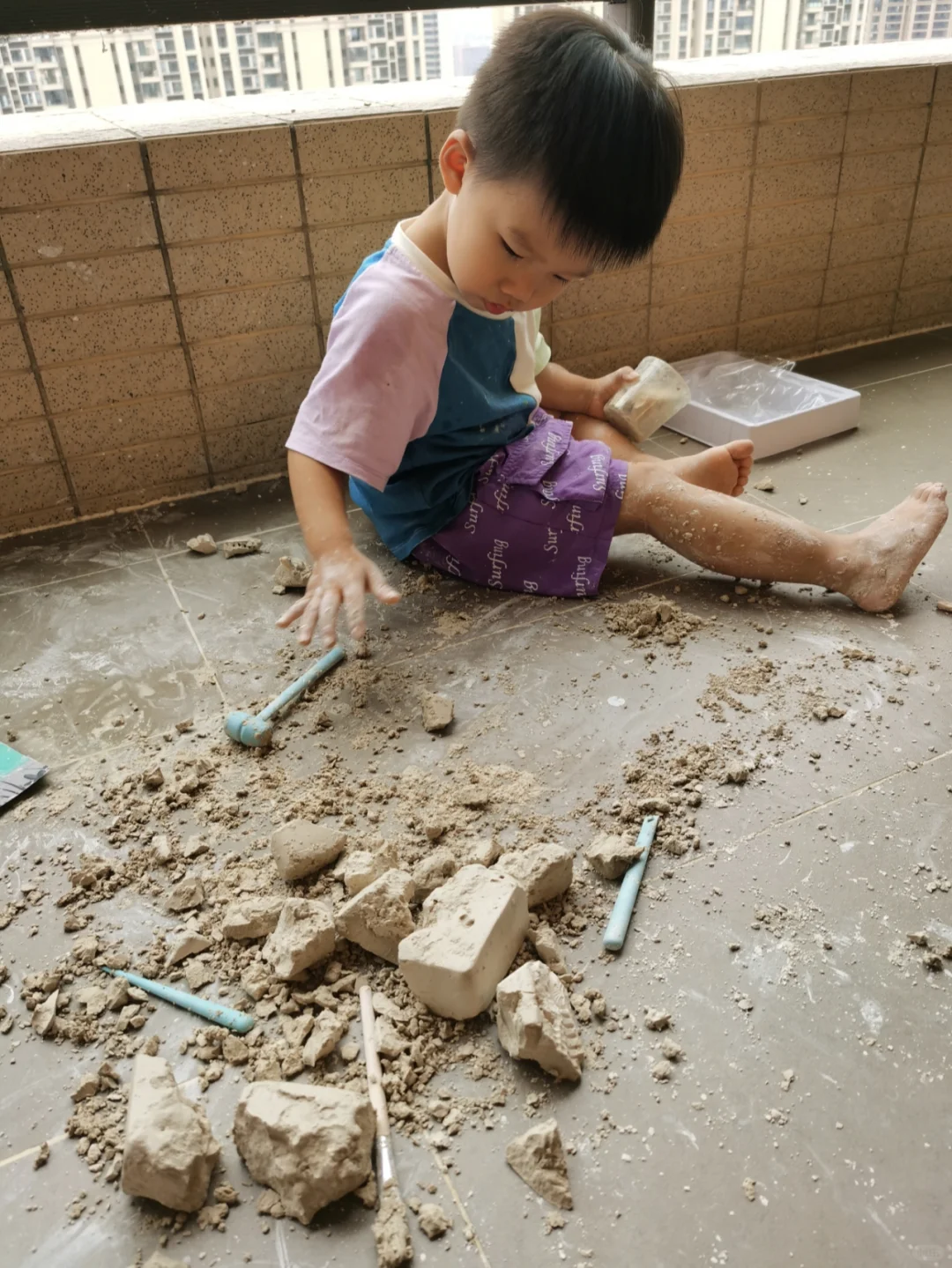 网红恐龙考古玩具买不买？请看这里！