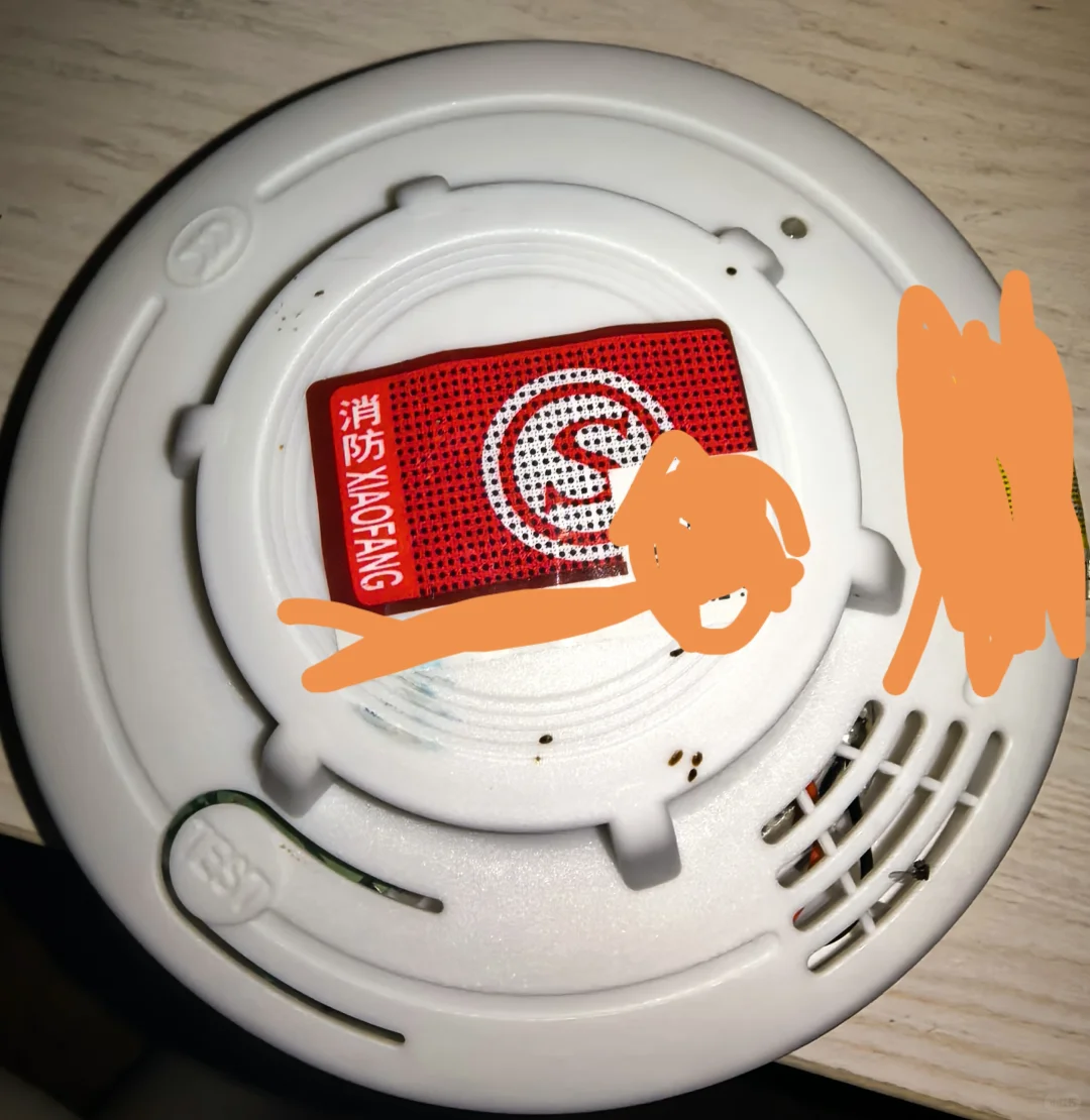 半夜客厅传来闷响,找了一圈原来是它➠