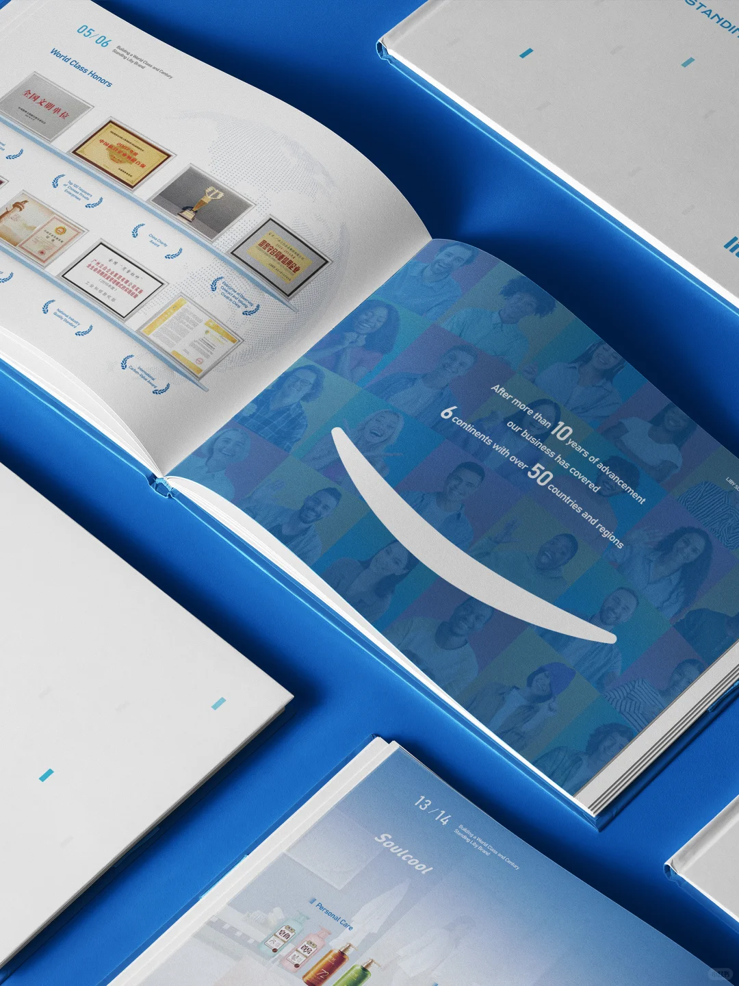 立白进军海外市场画册设计,设计与国际接轨