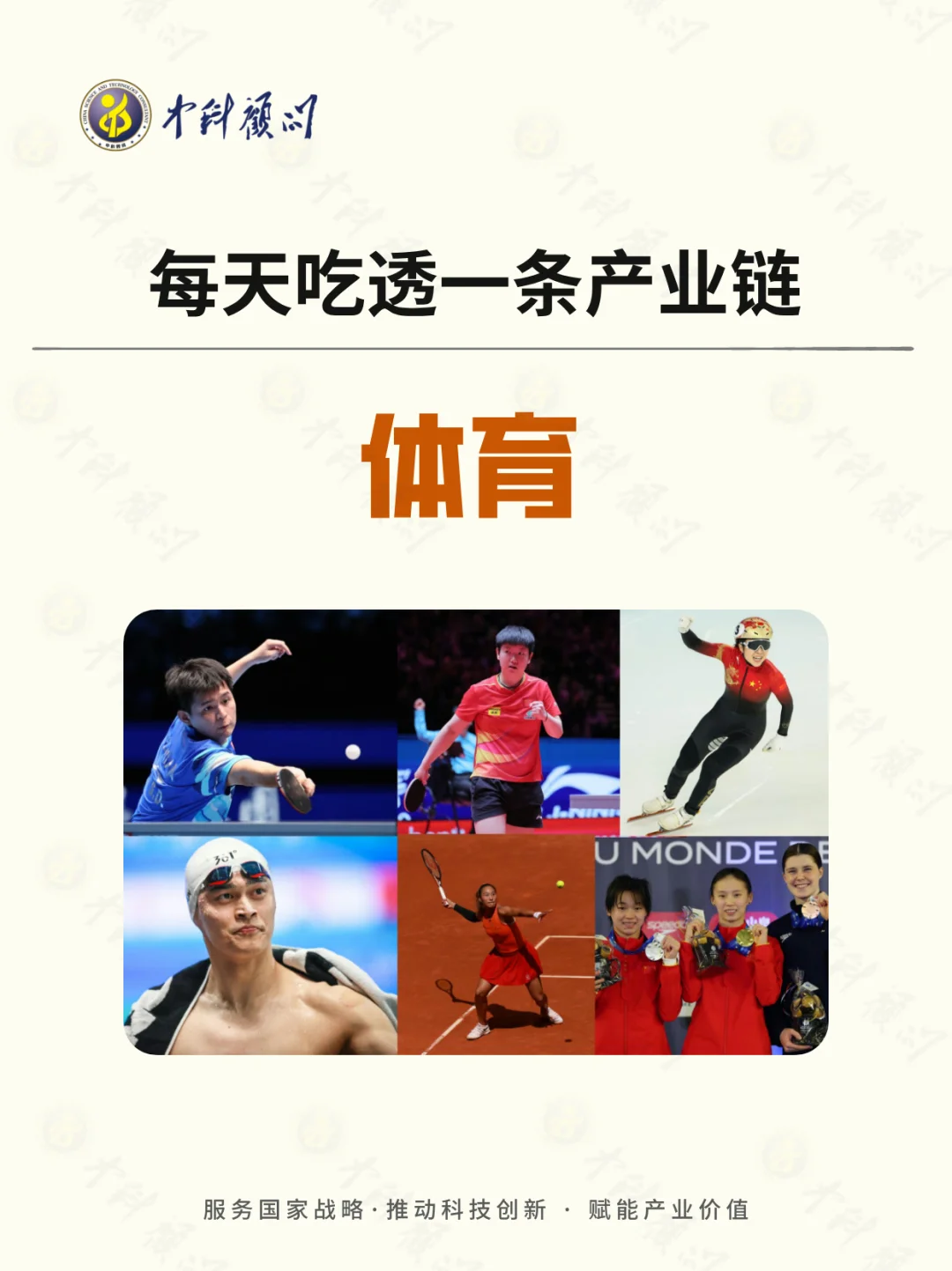 体育产业链全解析