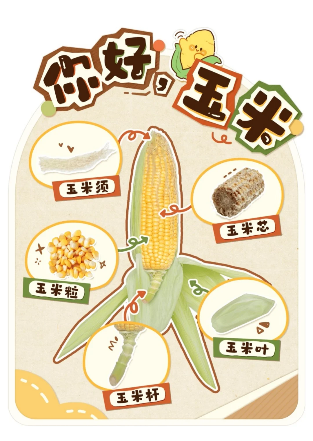 幼儿园秋天主题环创,? 打印,太美啦?