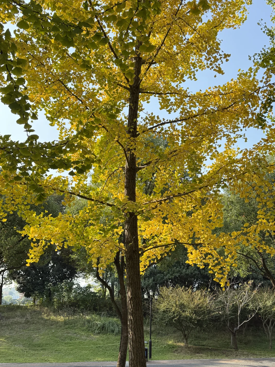 WPE汉宠展29.9的门票真不值