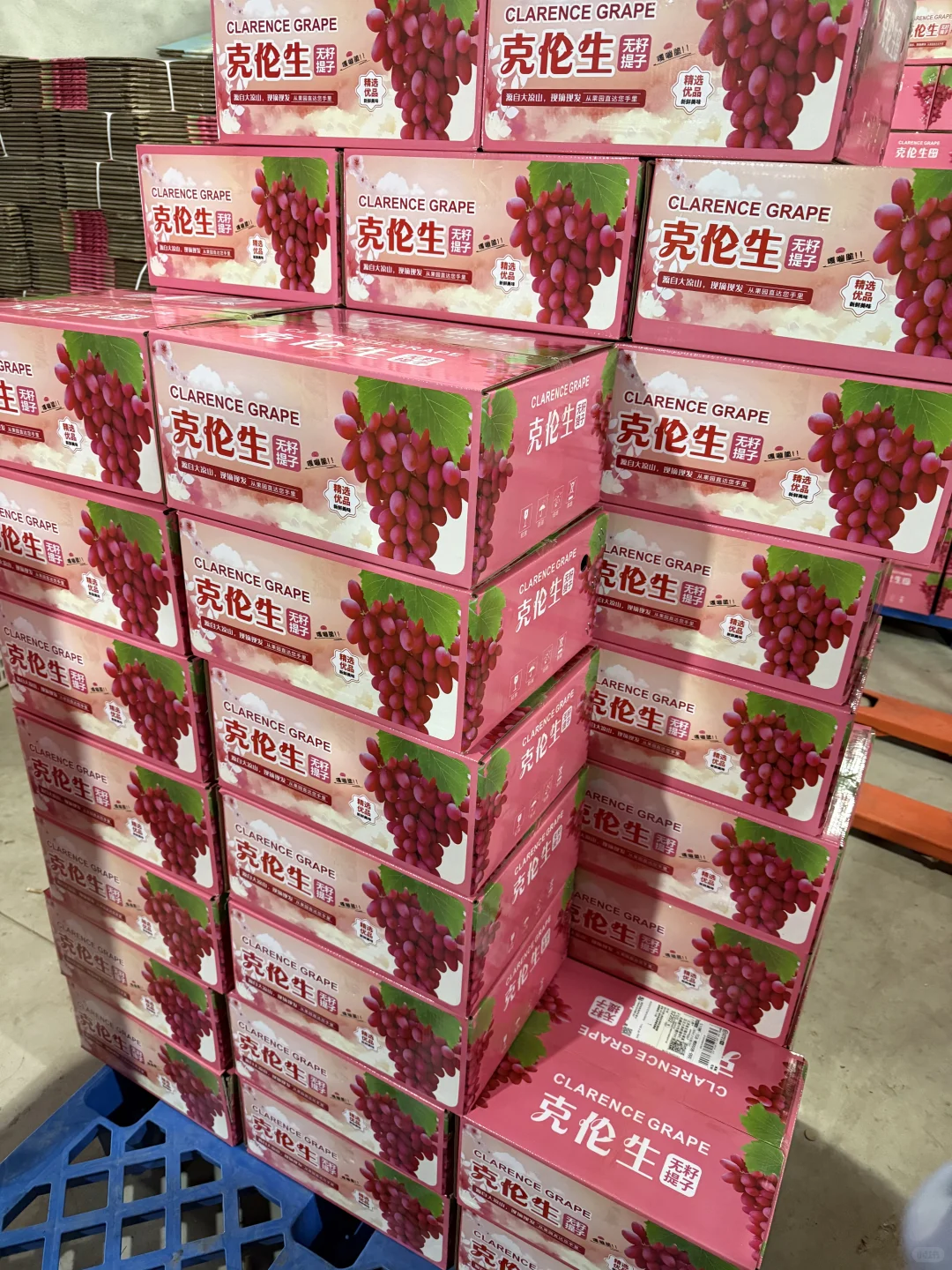 对不起了同行的朋友我家种的太多了