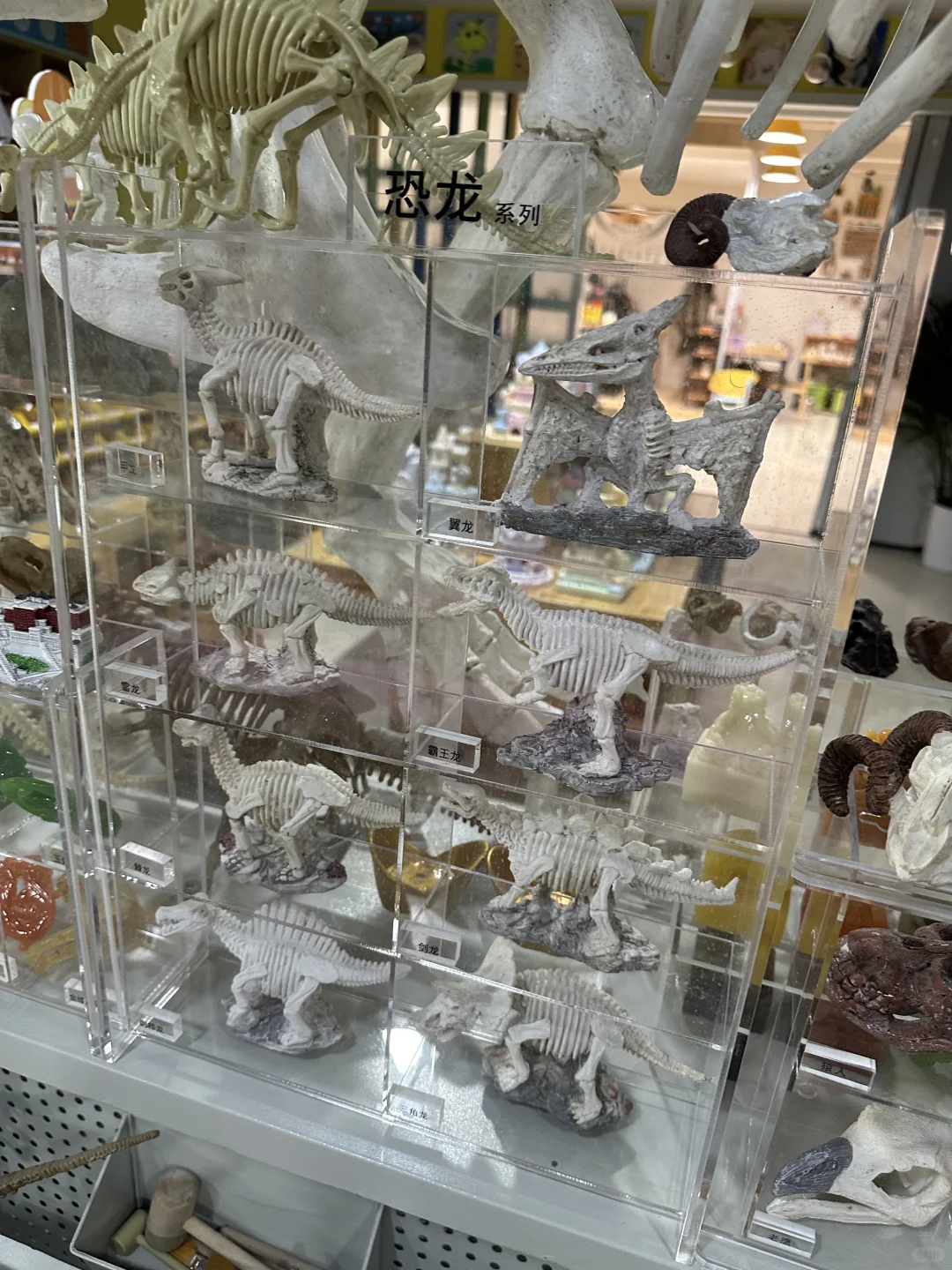 儿童考古项目是什么时候兴起的?