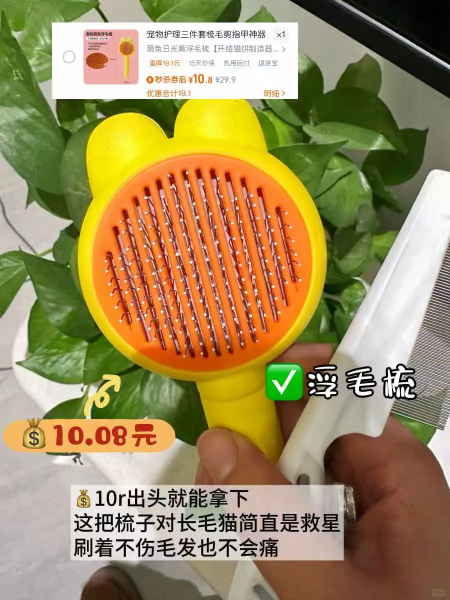 养猫好物|谁说低成本养不好猫的?