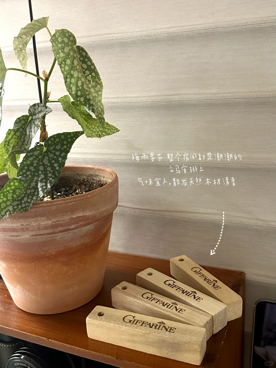 家里有虫的都去用！！保护衣柜里的羊绒衫