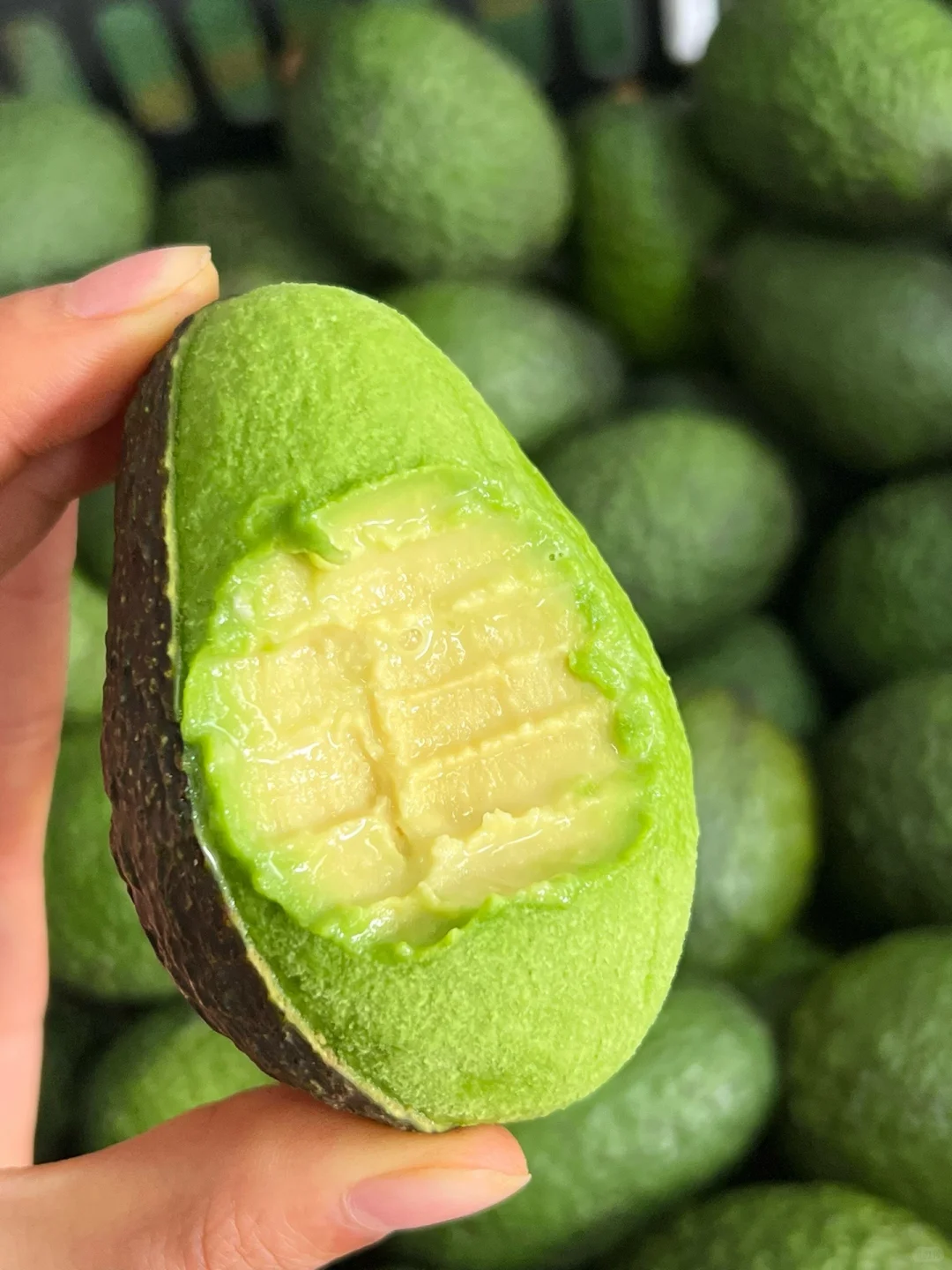 国产牛油果成熟啦！唯一缺点：季节限定！