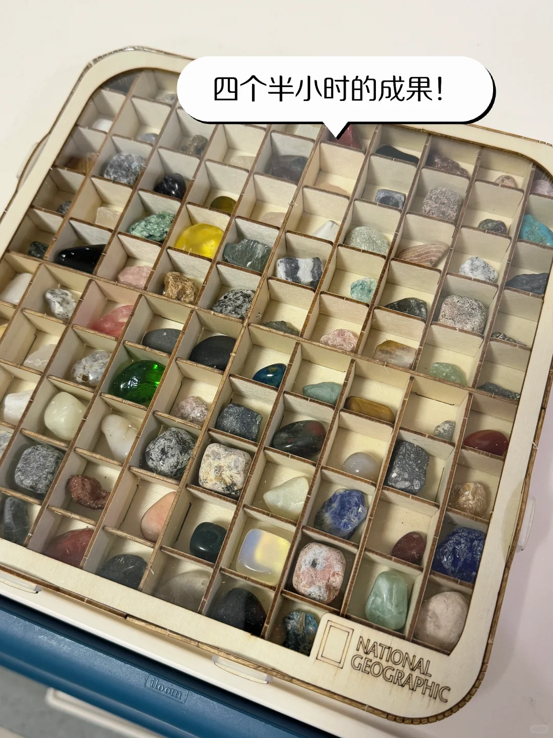 终于找到适合6+岁儿童的礼物了???