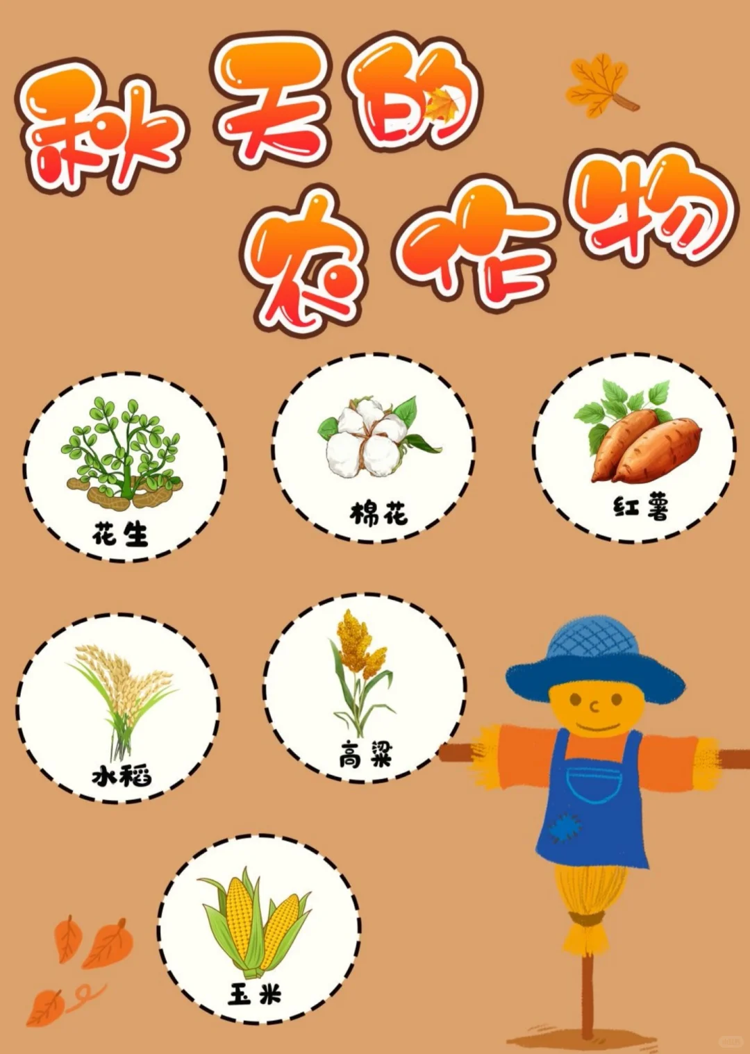 幼儿园秋天主题环创,? 打印,太美啦?