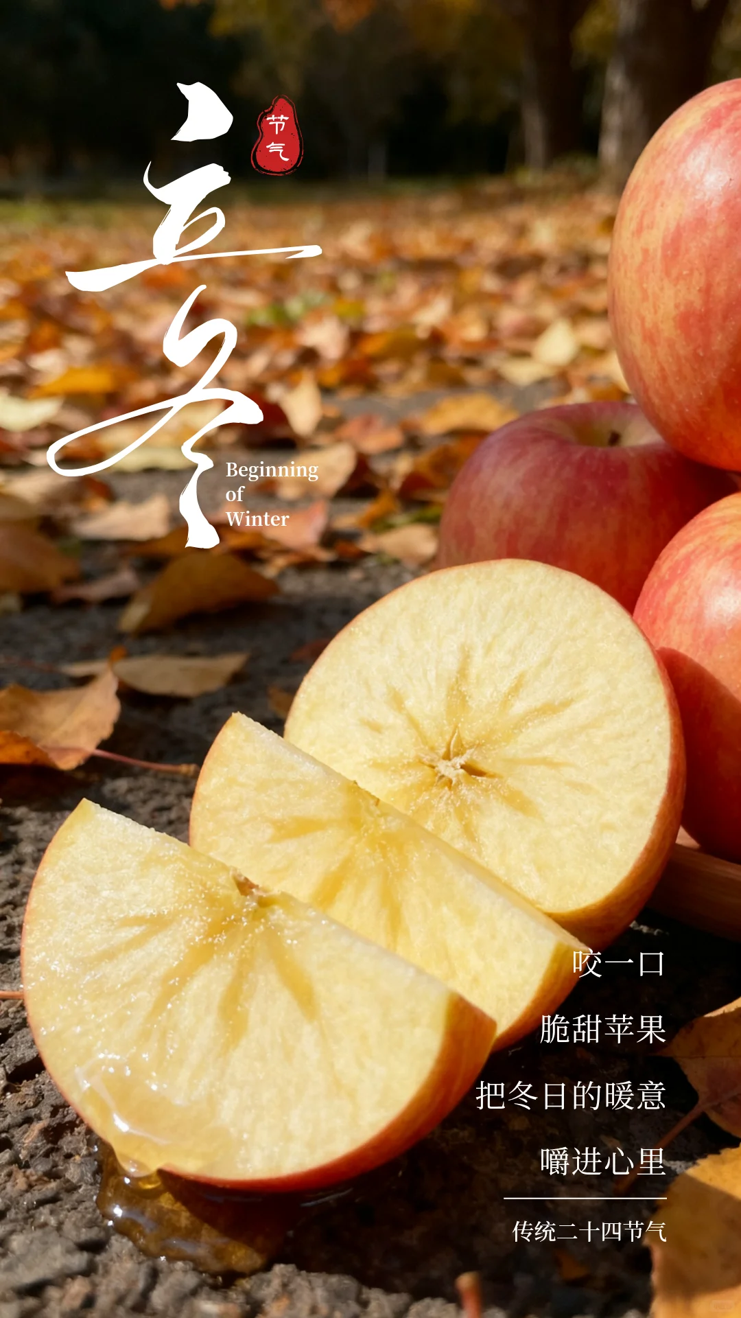 立冬水果图鉴｜一口时令鲜，暖透整个冬