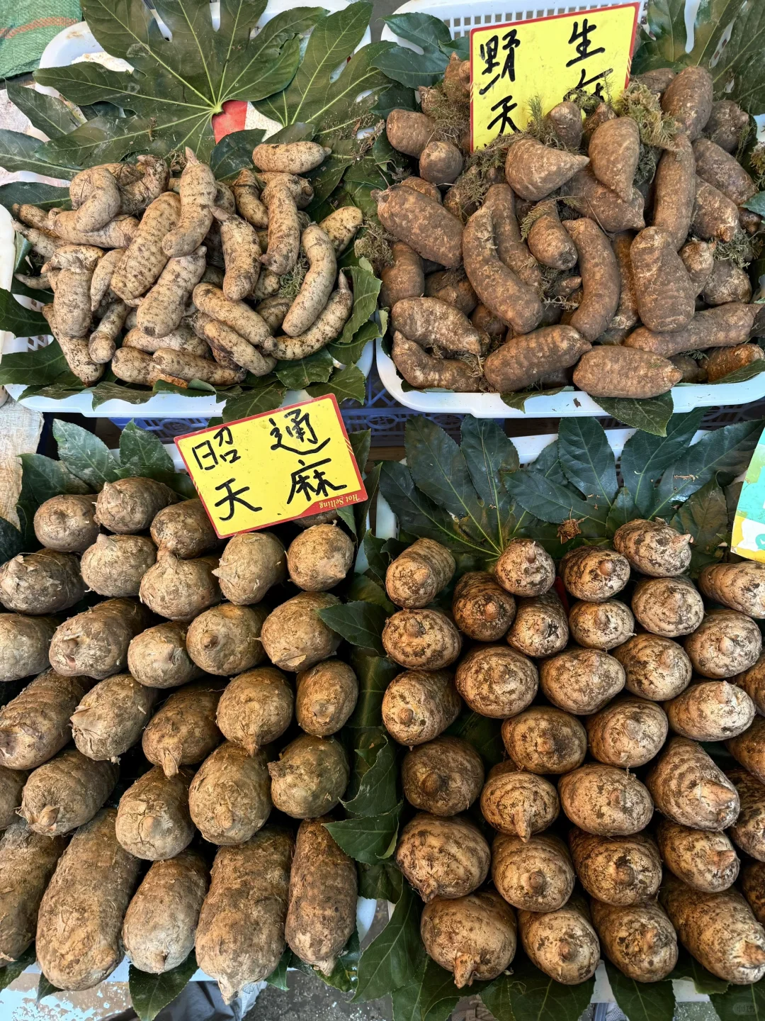 昆明早市太好逛了