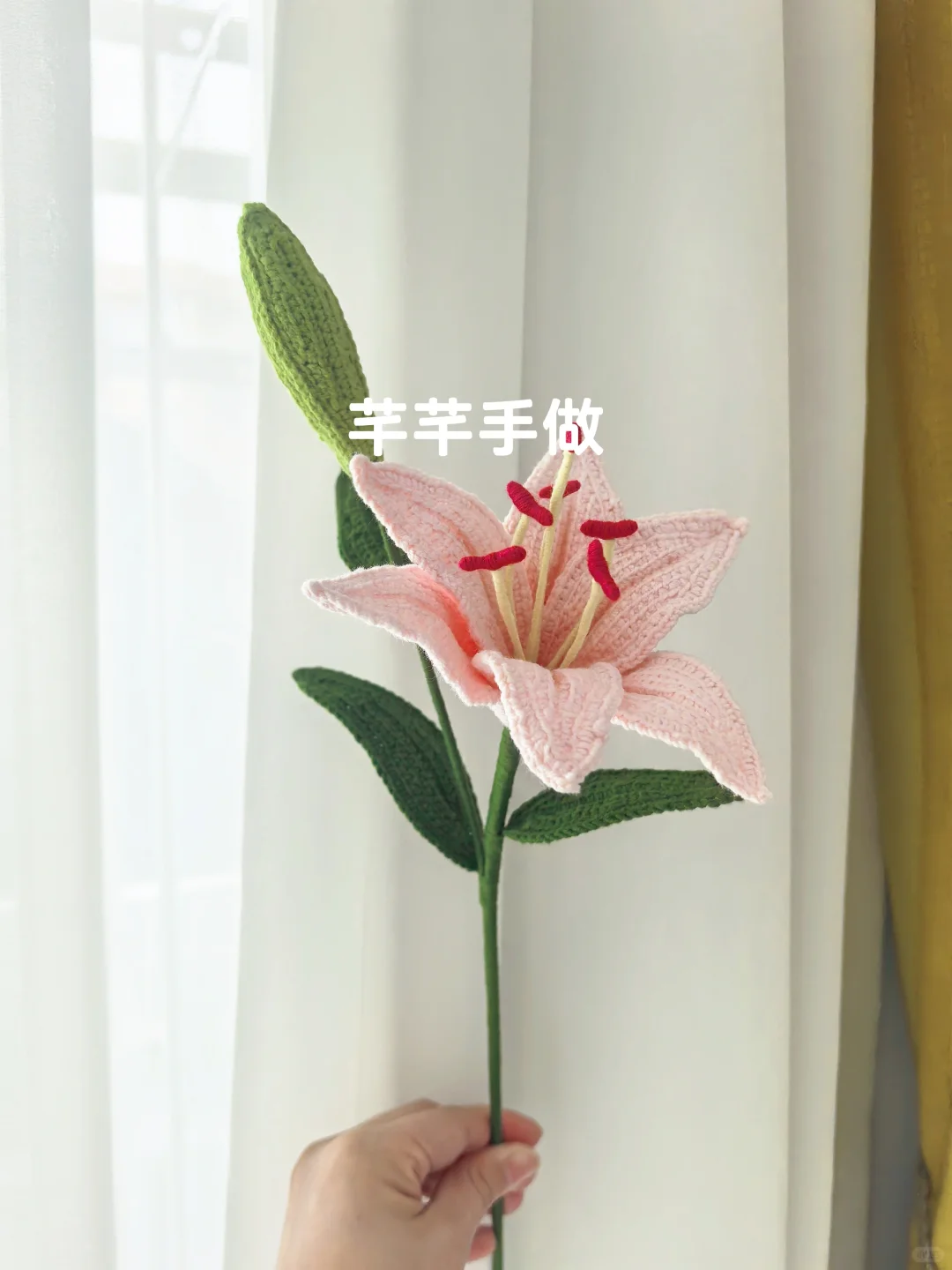 百合花，萌四线才?