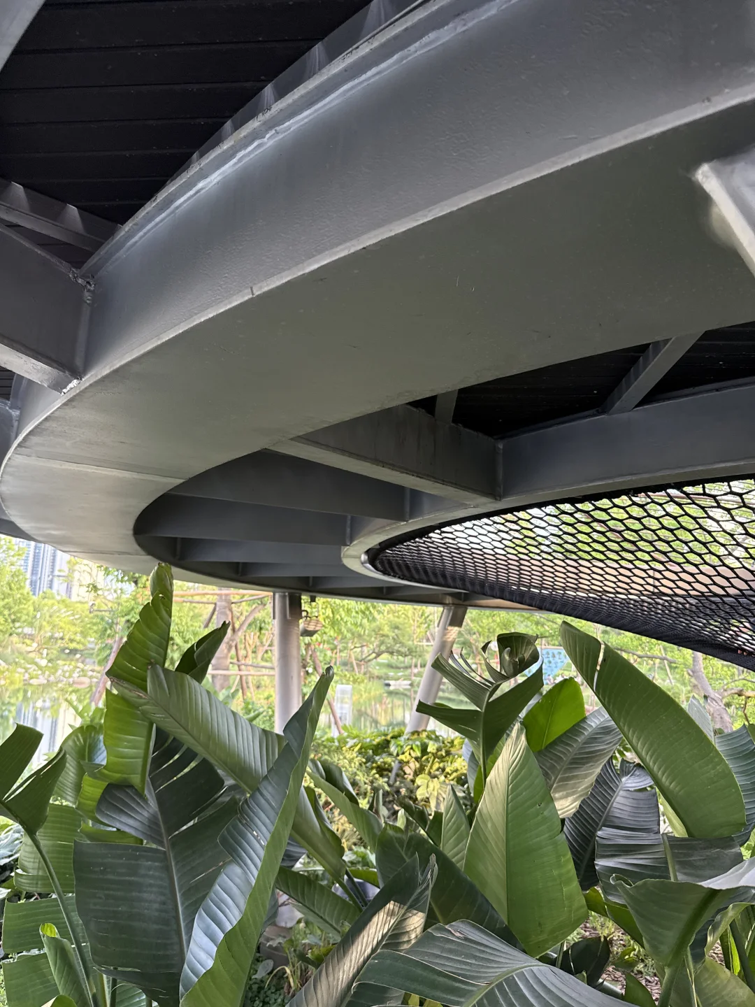 跟着成本逛麓湖-No.1 麓野公园景观桥