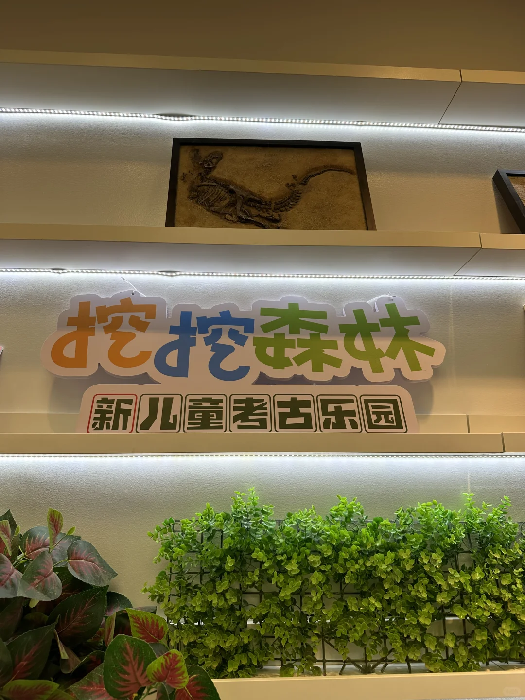 挖挖森林➡️ #专注力培养TOP1