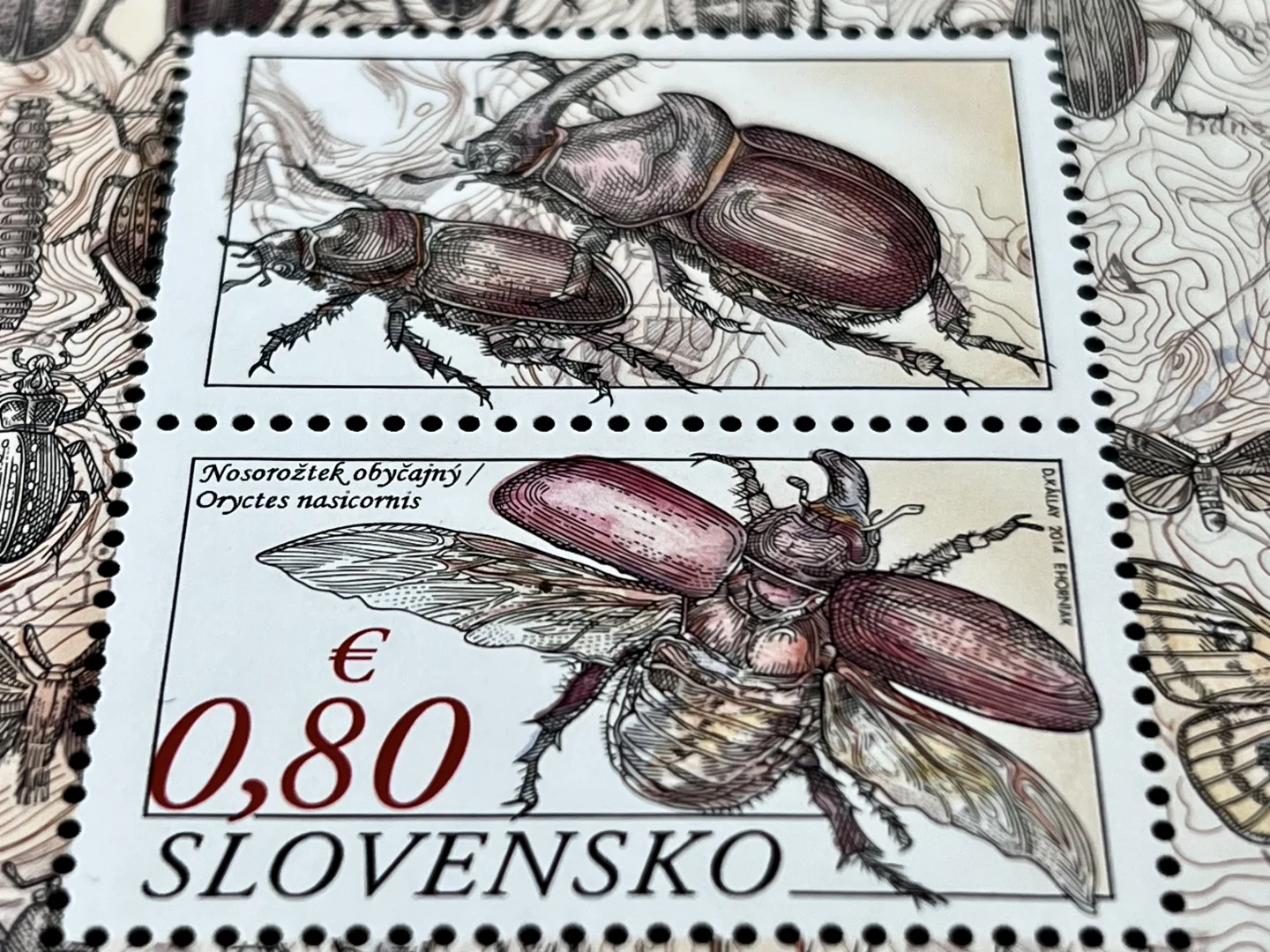 平板凹版印刷术的昆虫邮票，真的惊艳