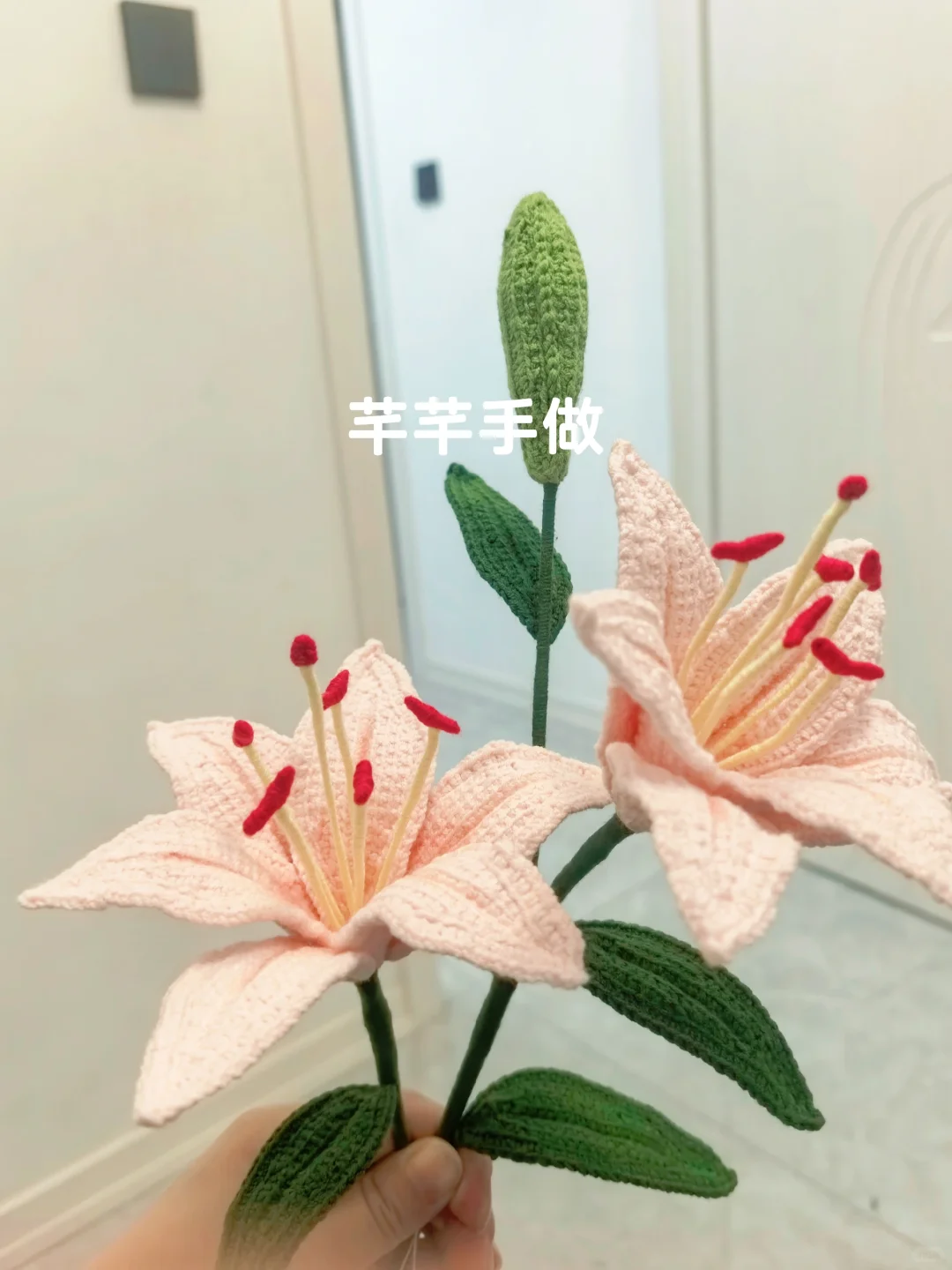 百合花，萌四线才?