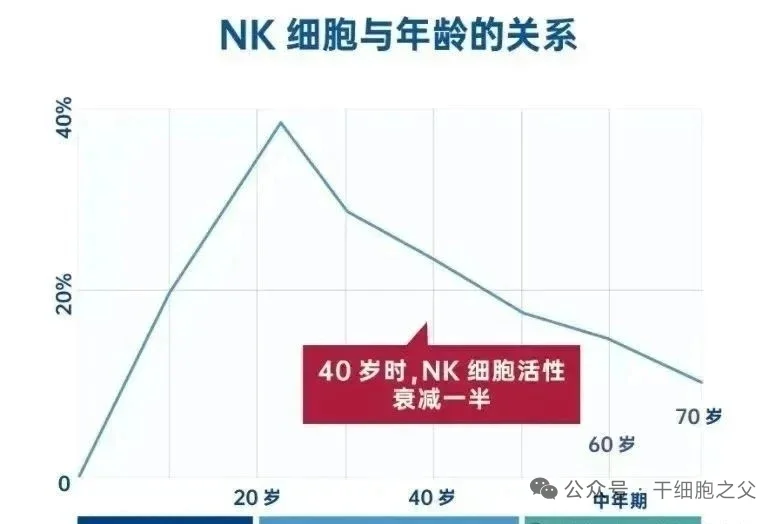 40岁后的亚健康人群,为何要定期回输NK细胞