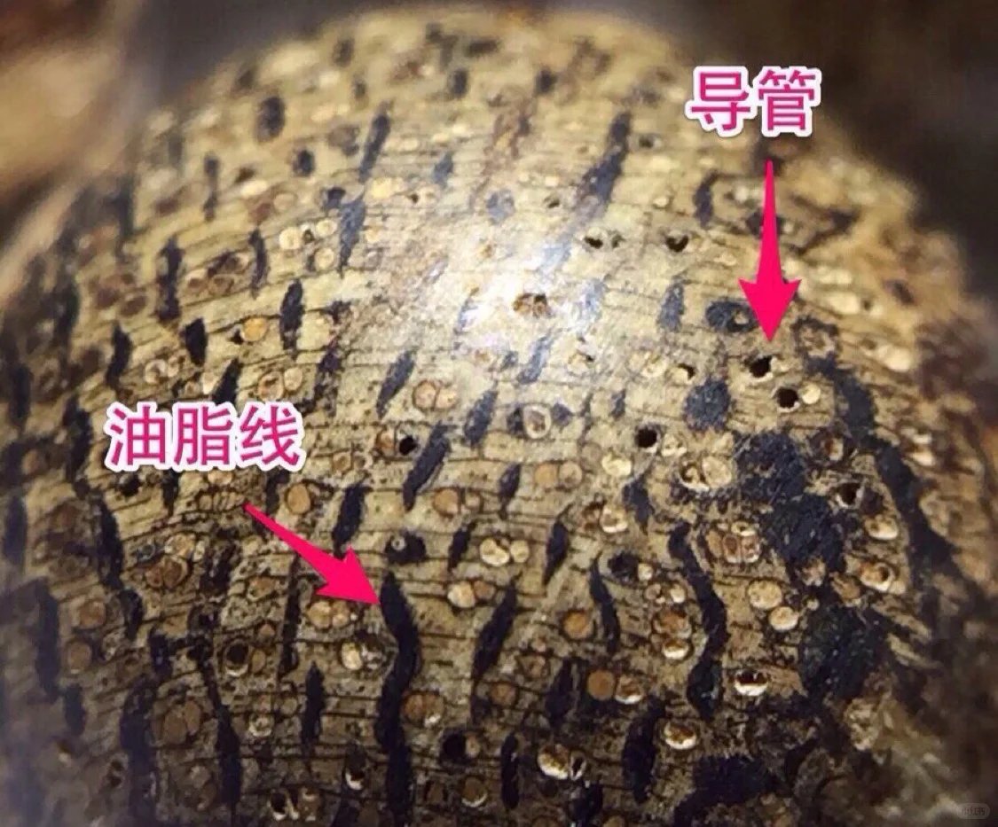 假沉香避坑：这种一眼假的不用多说了吧？有毒