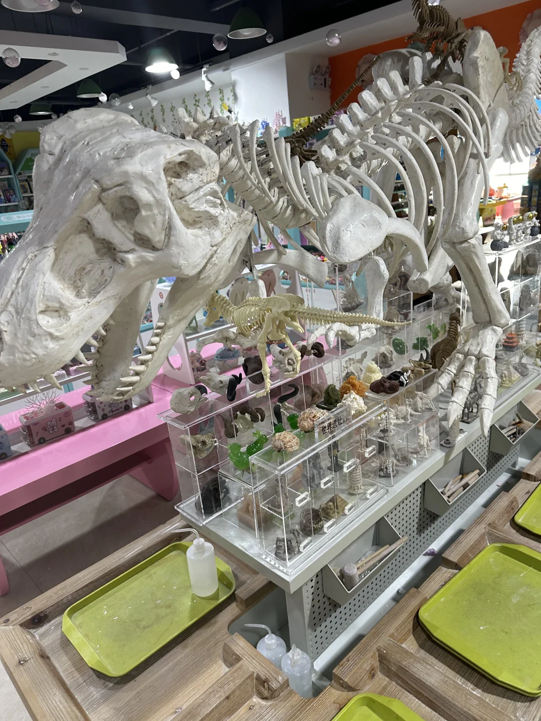 儿童考古项目是什么时候兴起的?