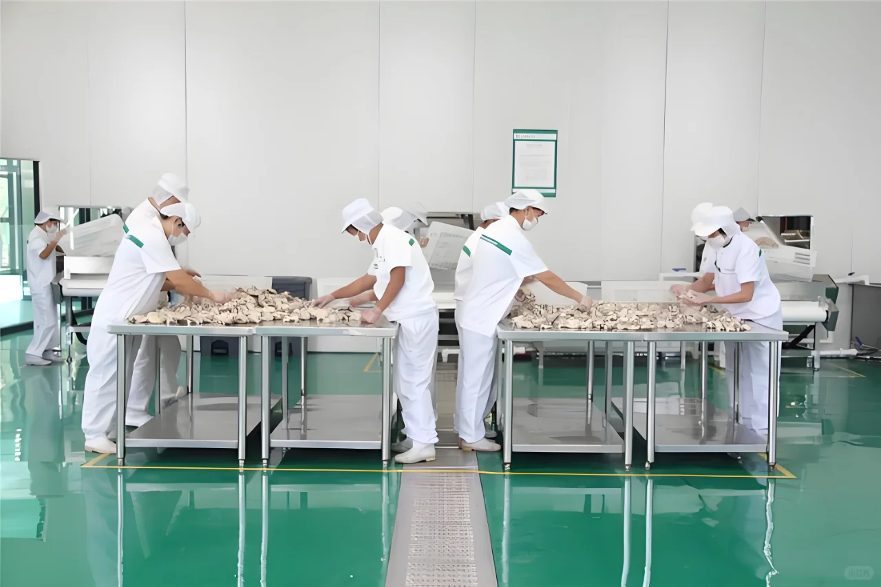 香菇加工设备，为乡村振兴注入 “鲜” 活力