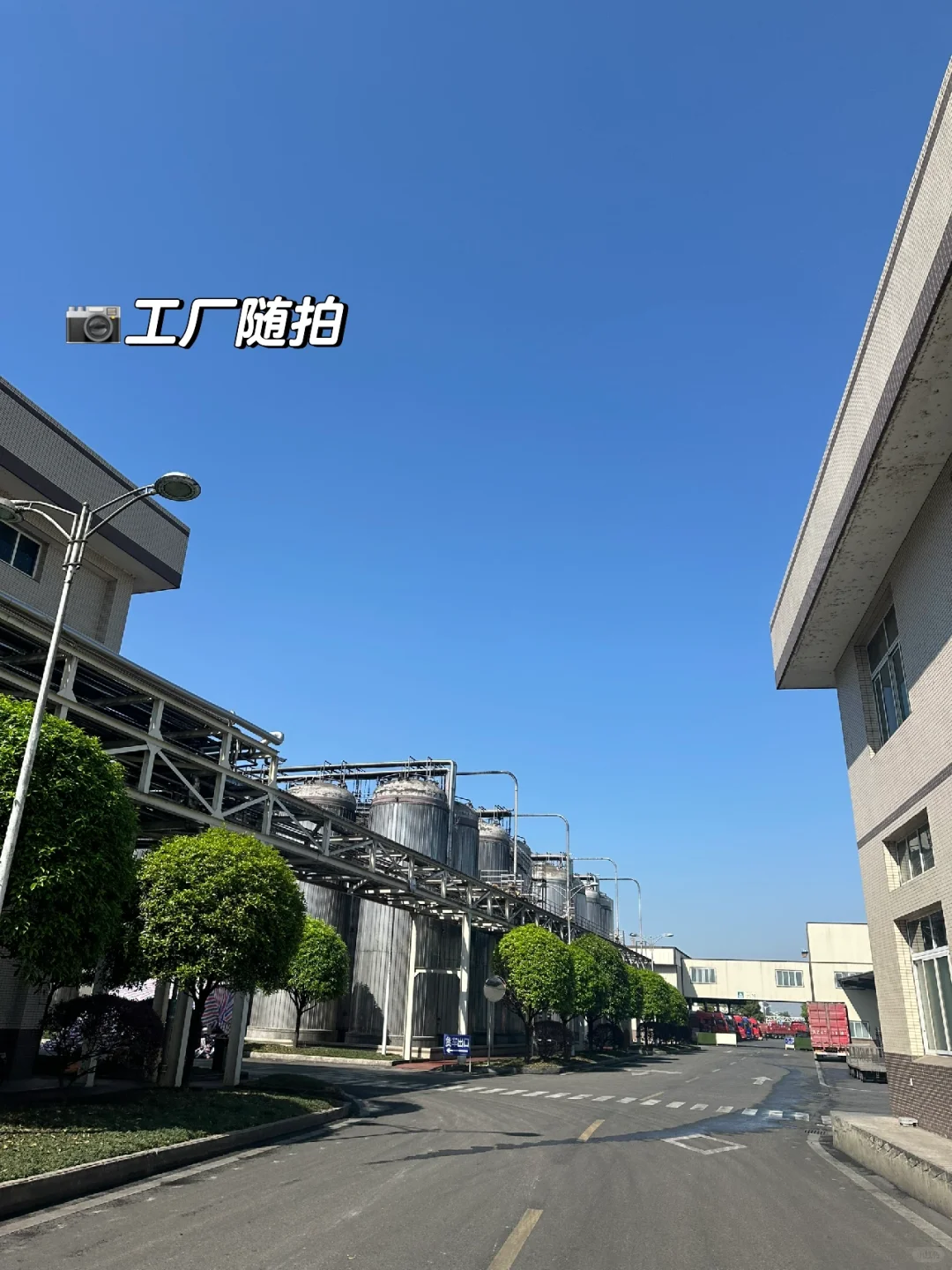 探厂plog ｜交底啦，酱油生产线都给你们看了