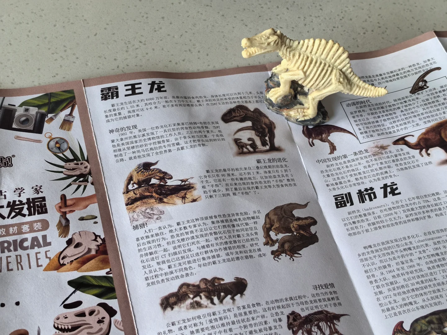 2岁宝宝太调皮？总喜欢敲敲打打？