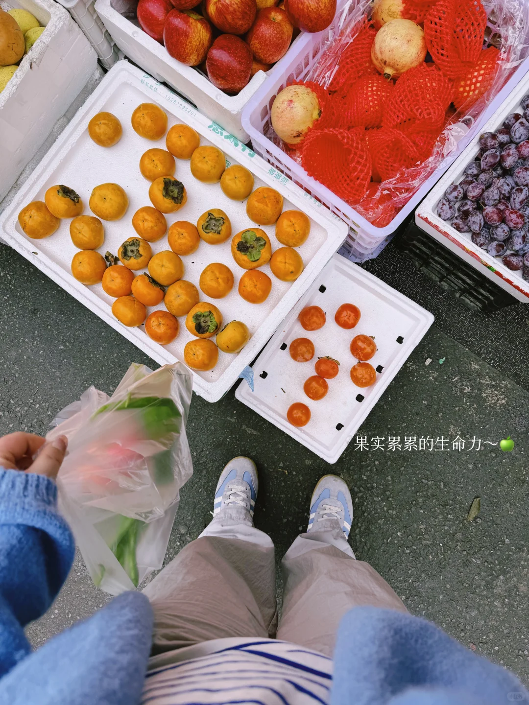 秋天果实累累的生命力！