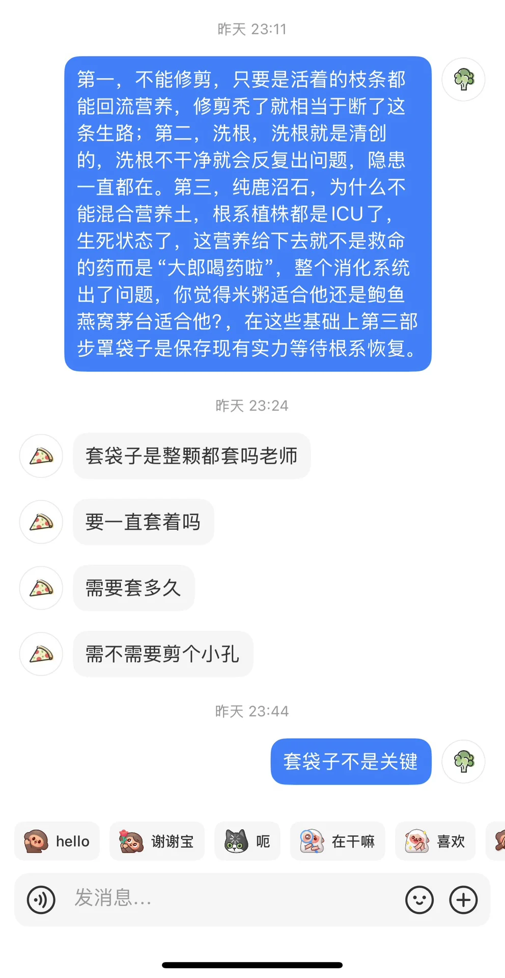 苦口婆心劝说救桂花