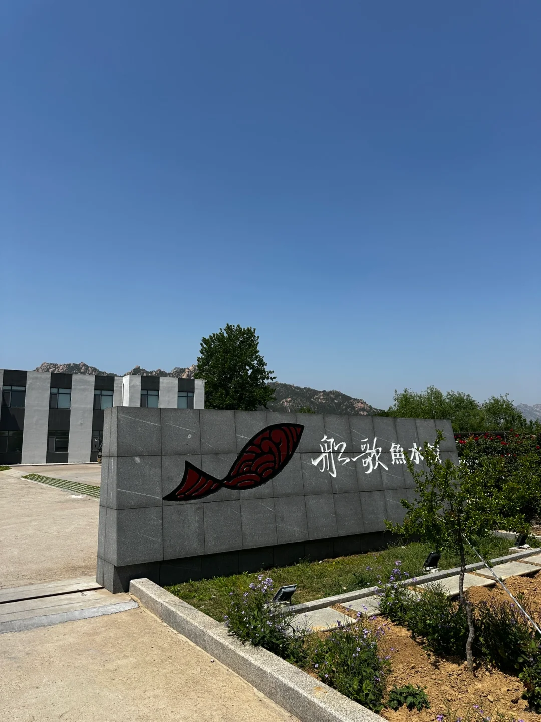 探秘速冻饺子工厂