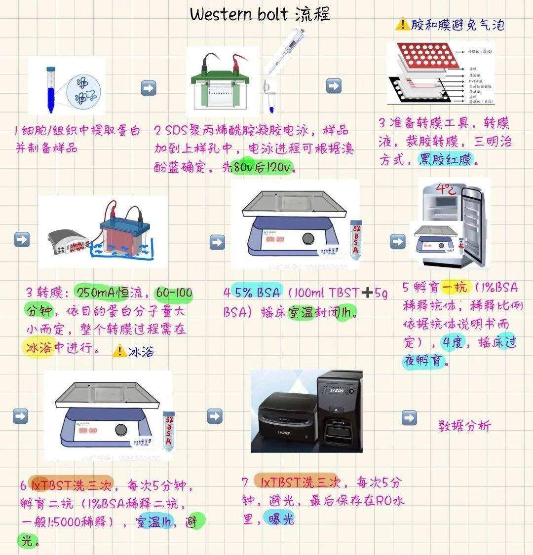 ?WB全流程保姆级攻略！6步搞定～