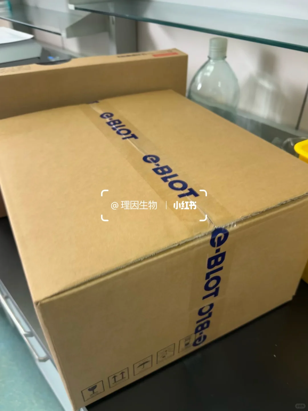 装机电子压片成像仪！