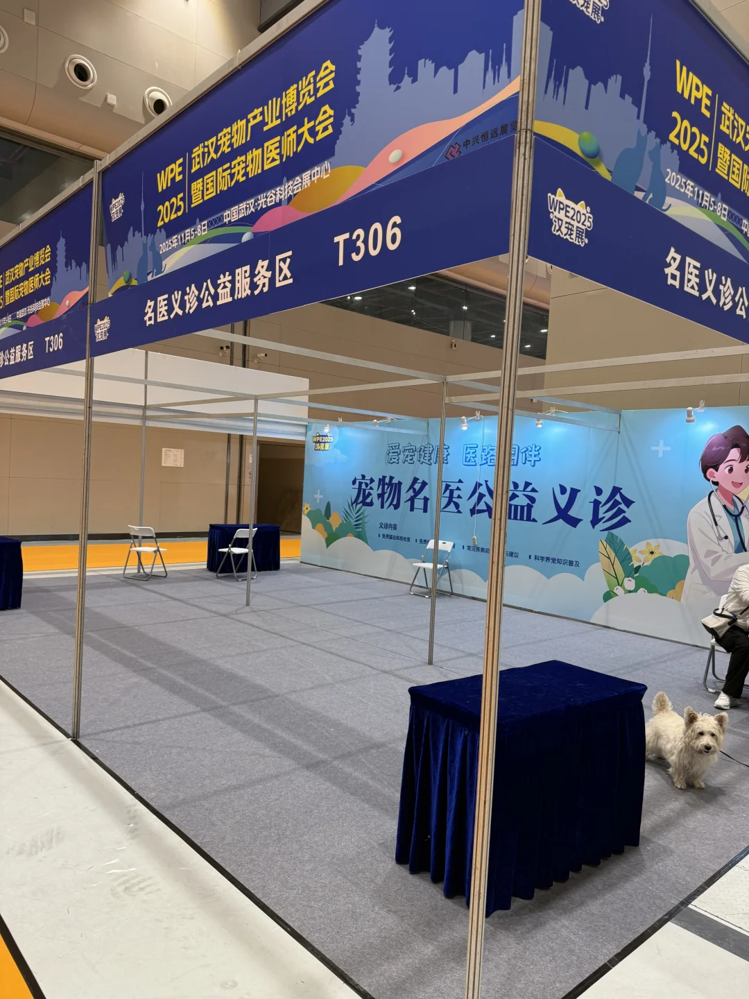 WPE汉宠展29.9的门票真不值