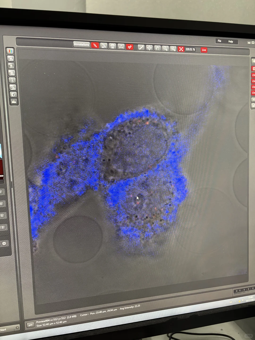 为什么我的DAPI染不上核