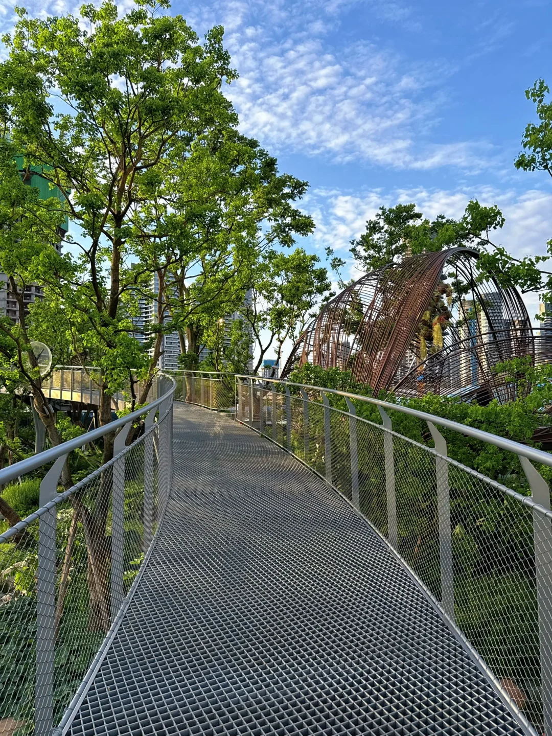 跟着成本逛麓湖-No.1 麓野公园景观桥