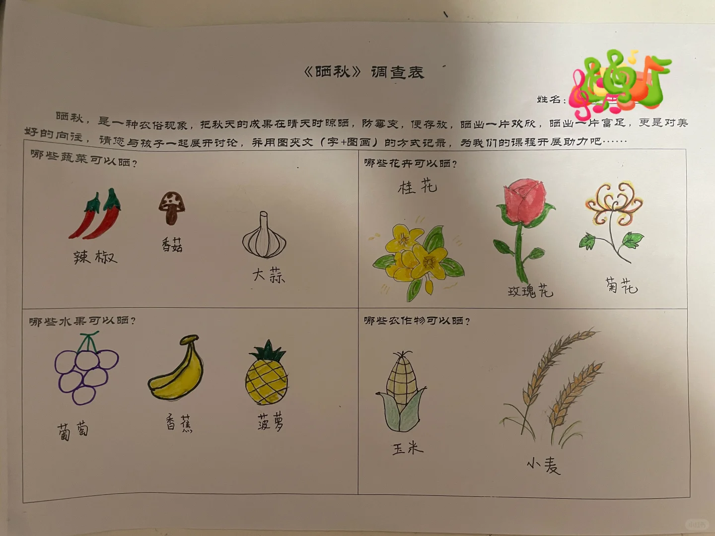 晒秋，搜集可以晒的水果、蔬菜、农作物、花