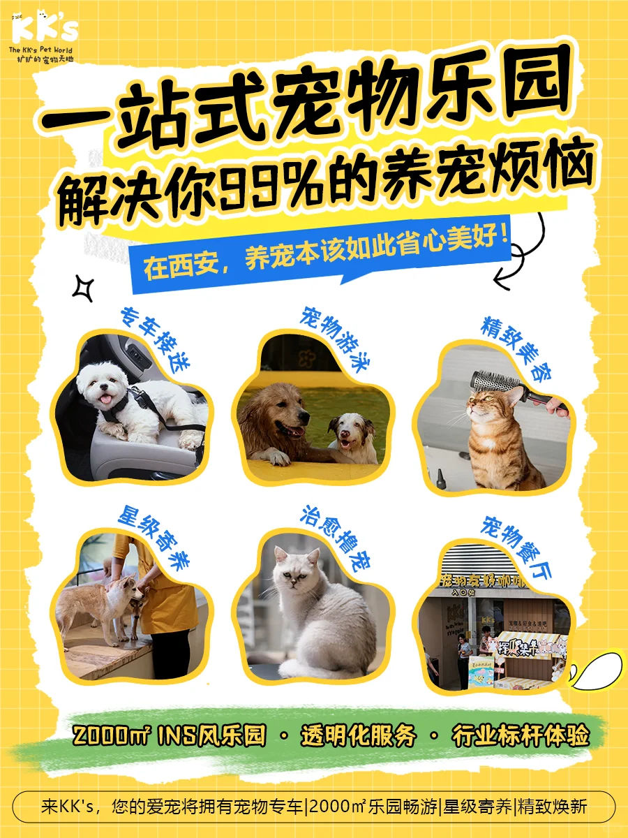 没空带宠物美容？? KK'S宠物专车上门接